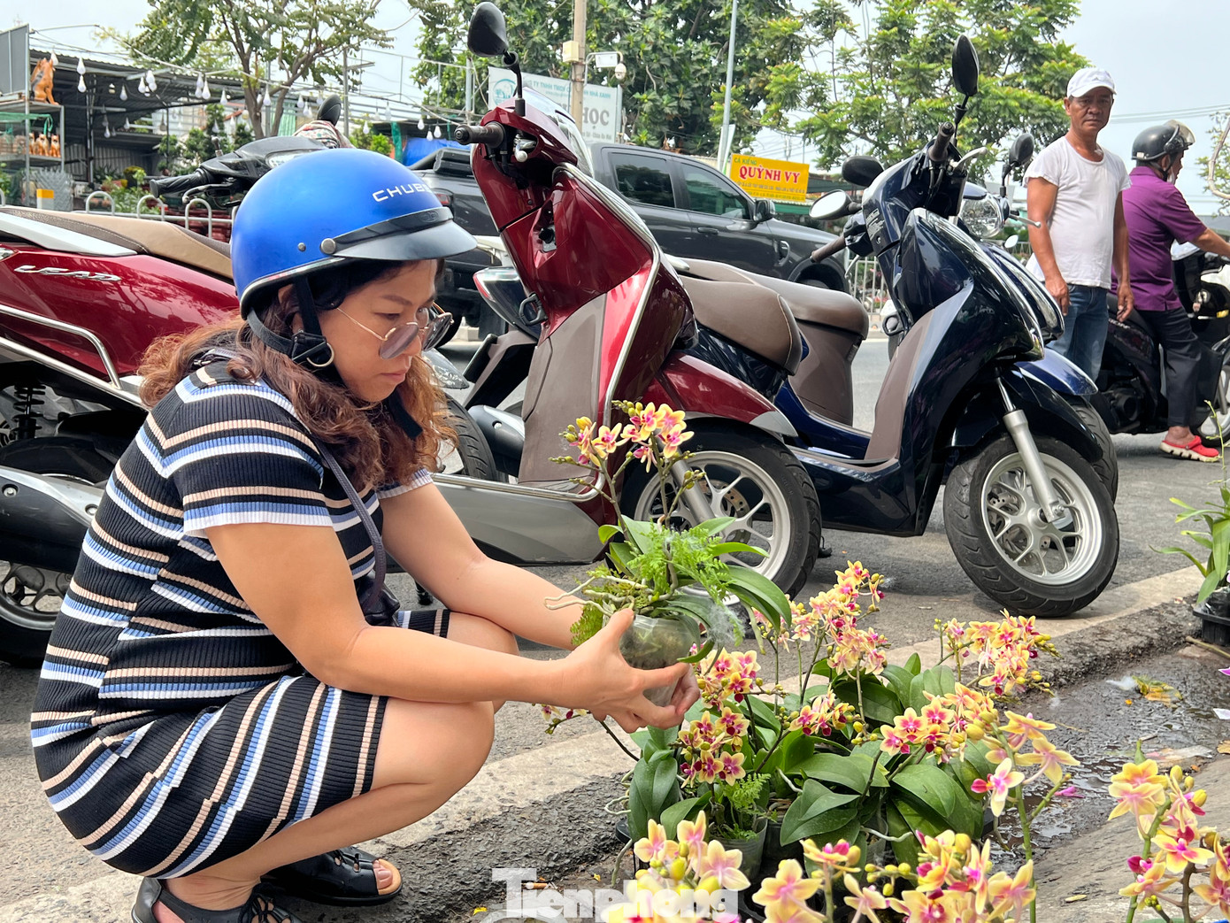 Lan hồ điệp mini giá rẻ hút khách hàng lựa chọn Lan hồ điệp mini giá rẻ hút khách hàng lựa chọn