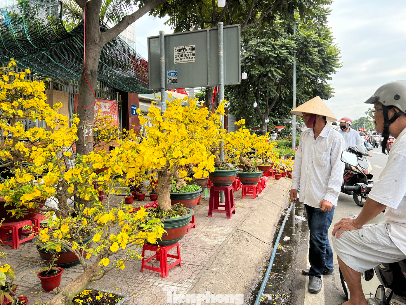 Nhiều người đến ngắm là chính hoặc thuê về chơi Tết cho nhẹ tiền. Nhiều người đến ngắm là chính hoặc thuê về chơi Tết cho nhẹ tiền.