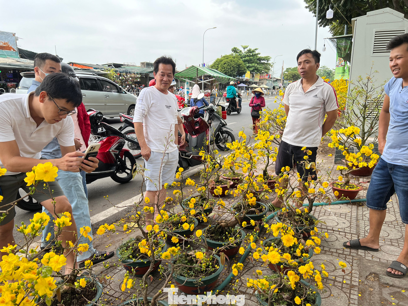 Mai chậu nhỏ khoe sắc vàng tươi, giá từ 500.000 - 1 triệu đồng/chậu, những chậu nhỏ hơn từ 100.000 đồng. Mai chậu nhỏ khoe sắc vàng tươi, giá từ 500.000 - 1 triệu đồng/chậu, những chậu nhỏ hơn từ 100.000 đồng.