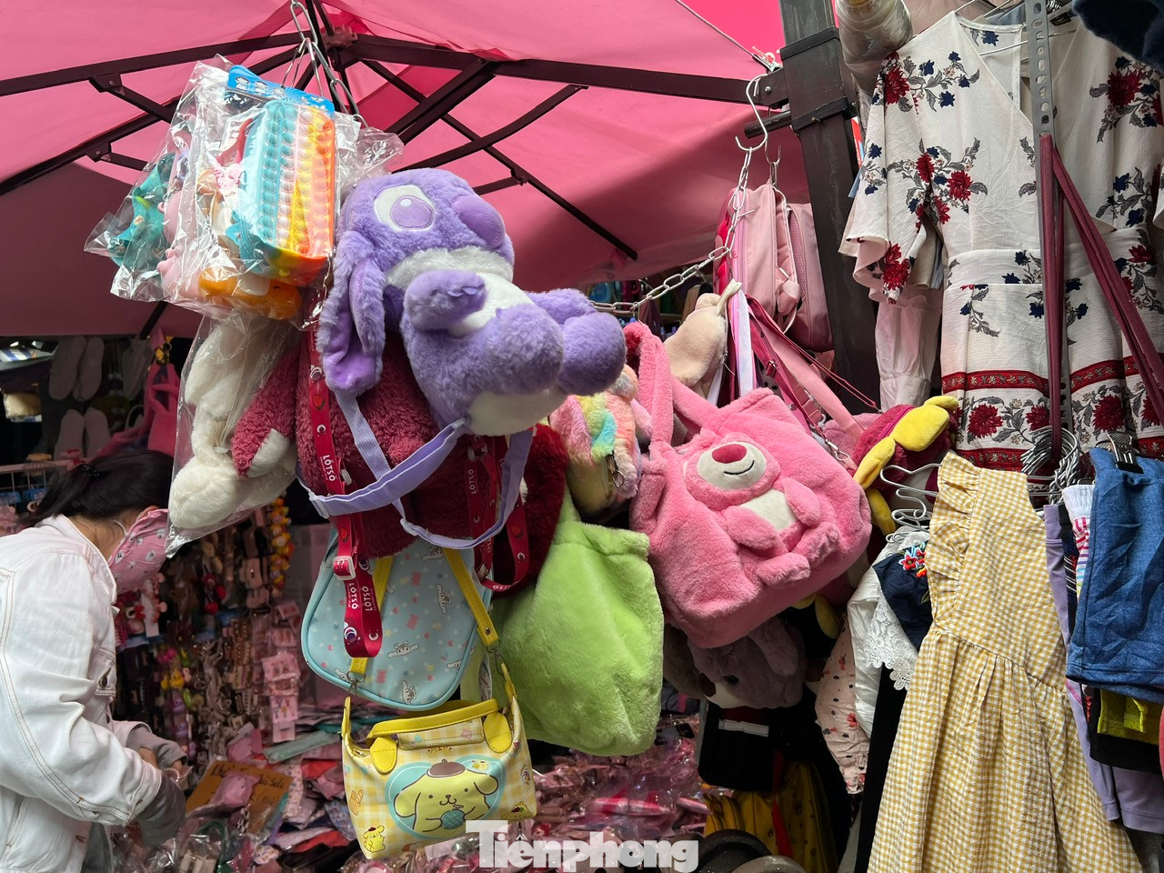 Ngay cả thú bông, balo thú nhồi bông cho trẻ em cũng được nhập về bán với giá từ 10.000 - 20.000 đồng/sản phẩm.