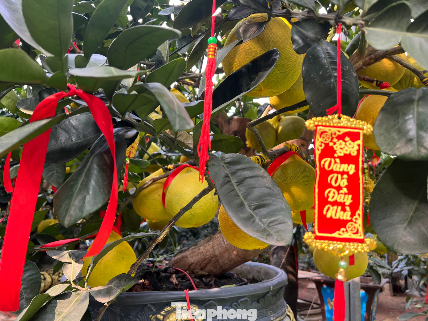 Những câu chúc ý nghĩa, cầu mong nhiều may mắn. Những câu chúc ý nghĩa, cầu mong nhiều may mắn.