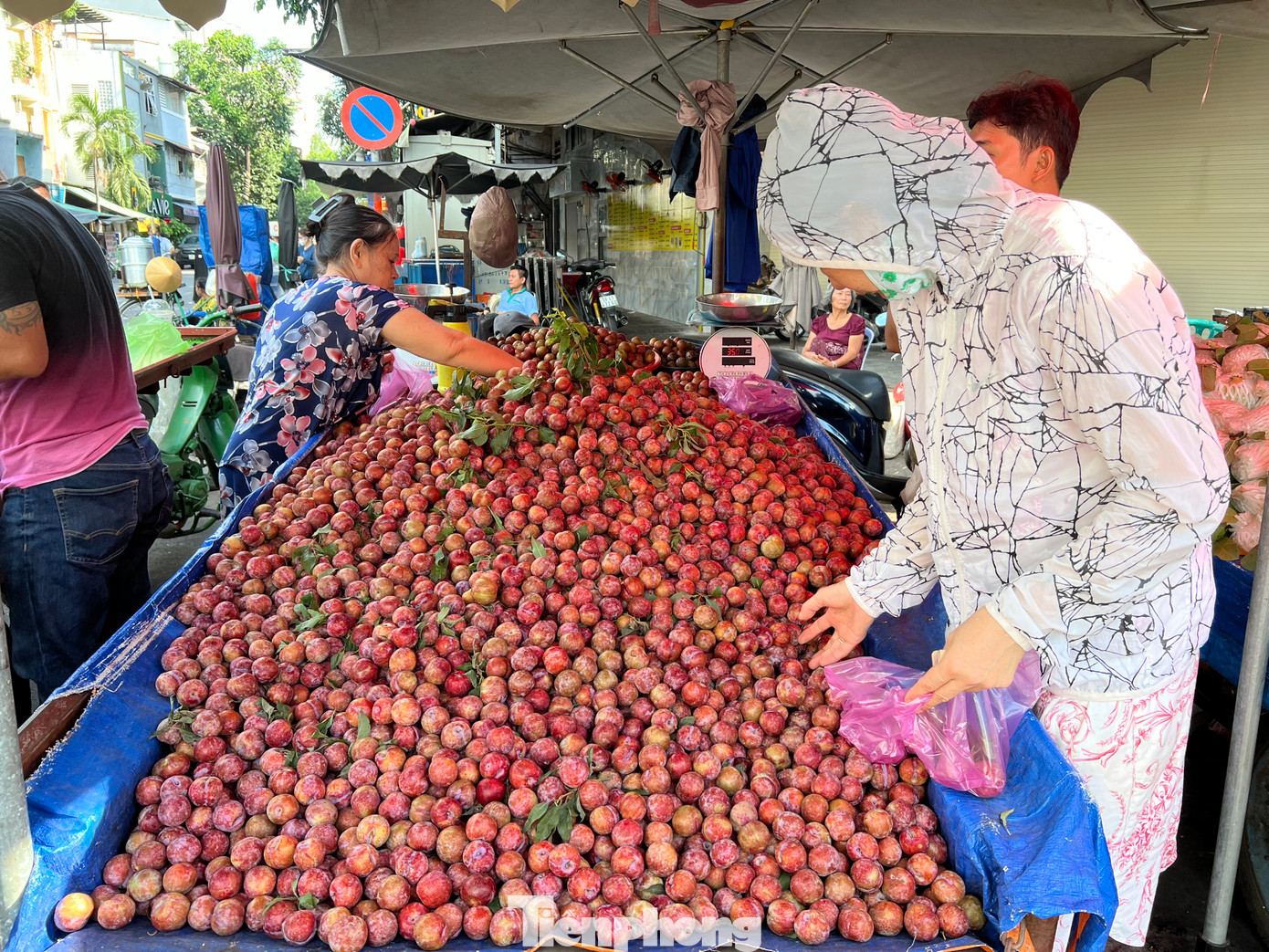 "Quê tôi ở Hà Nội nên từ nhỏ đã rất yêu thích quả mận này. Cứ đến mùa mận hậu là trái cây này không thể thiếu trong món tráng miệng hàng ngày của gia đình tôi. Mận hậu có giá rẻ như năm nay, tôi mua về làm mứt, ngâm đường làm thức uống giải khát rất ngon. Loại trái cây này còn có thể trộn chung với món salat ăn rất bắt vị" - chị Thu Hường (ngụ quận Gò Vấp) bật mí. "Quê tôi ở Hà Nội nên từ nhỏ đã rất yêu thích quả mận này. Cứ đến mùa mận hậu là trái cây này không thể thiếu trong món tráng miệng hàng ngày của gia đình tôi. Mận hậu có giá rẻ như năm nay, tôi mua về làm mứt, ngâm đường làm thức uống giải khát rất ngon. Loại trái cây này còn có thể trộn chung với món salat ăn rất bắt vị" - chị Thu Hường (ngụ quận Gò Vấp) bật mí.