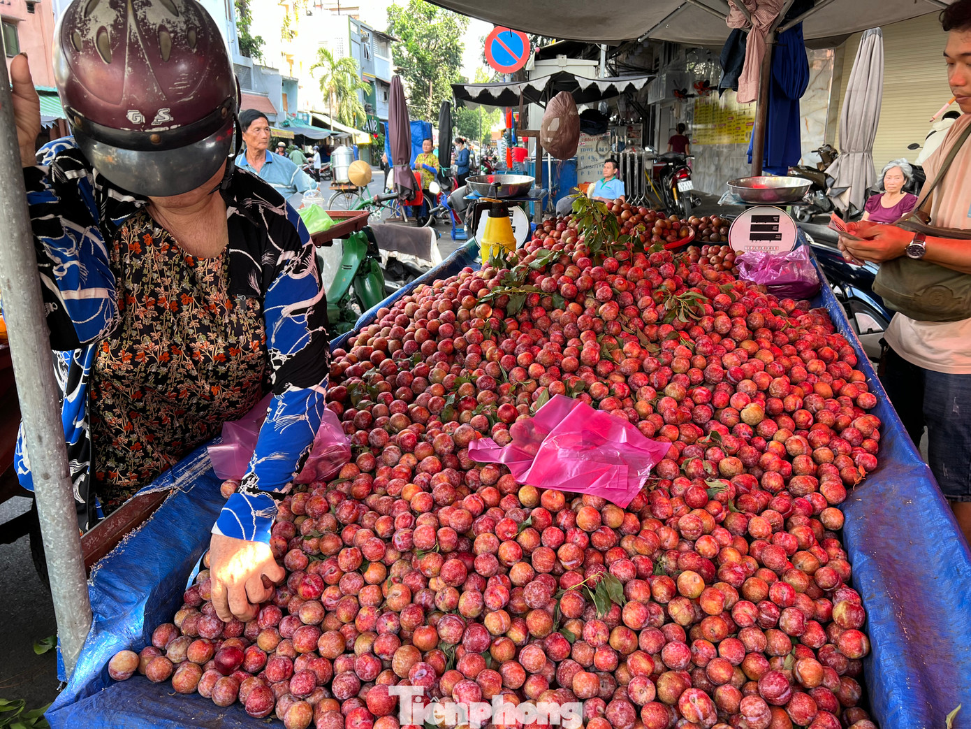 Trưa 26/5, tại chợ Hòa Bình (quận 5), xe mận bán dạo thu hút rất đông chị em đến chọn mua, có người mua 1 kg, nhưng cũng có khách gom tới 2 - 3 kg. Giá mận hậu tại đây là 35.000 đồng/kg. Người bán cam kết bao giòn, ngọt và "không ngon không lấy tiền". "Mận hậu mỗi năm chỉ có một mùa, kéo dài khoảng 2 tháng nên ai cũng tranh thủ mua thưởng thức. Hiện mận hậu đang vào mùa nên có giá rẻ. Trung bình mỗi ngày tôi bán hết xe mận này hơn 50 kg" - người bán cho biết. Trưa 26/5, tại chợ Hòa Bình (quận 5), xe mận bán dạo thu hút rất đông chị em đến chọn mua, có người mua 1 kg, nhưng cũng có khách gom tới 2 - 3 kg. Giá mận hậu tại đây là 35.000 đồng/kg. Người bán cam kết bao giòn, ngọt và "không ngon không lấy tiền". "Mận hậu mỗi năm chỉ có một mùa, kéo dài khoảng 2 tháng nên ai cũng tranh thủ mua thưởng thức. Hiện mận hậu đang vào mùa nên có giá rẻ. Trung bình mỗi ngày tôi bán hết xe mận này hơn 50 kg" - người bán cho biết.