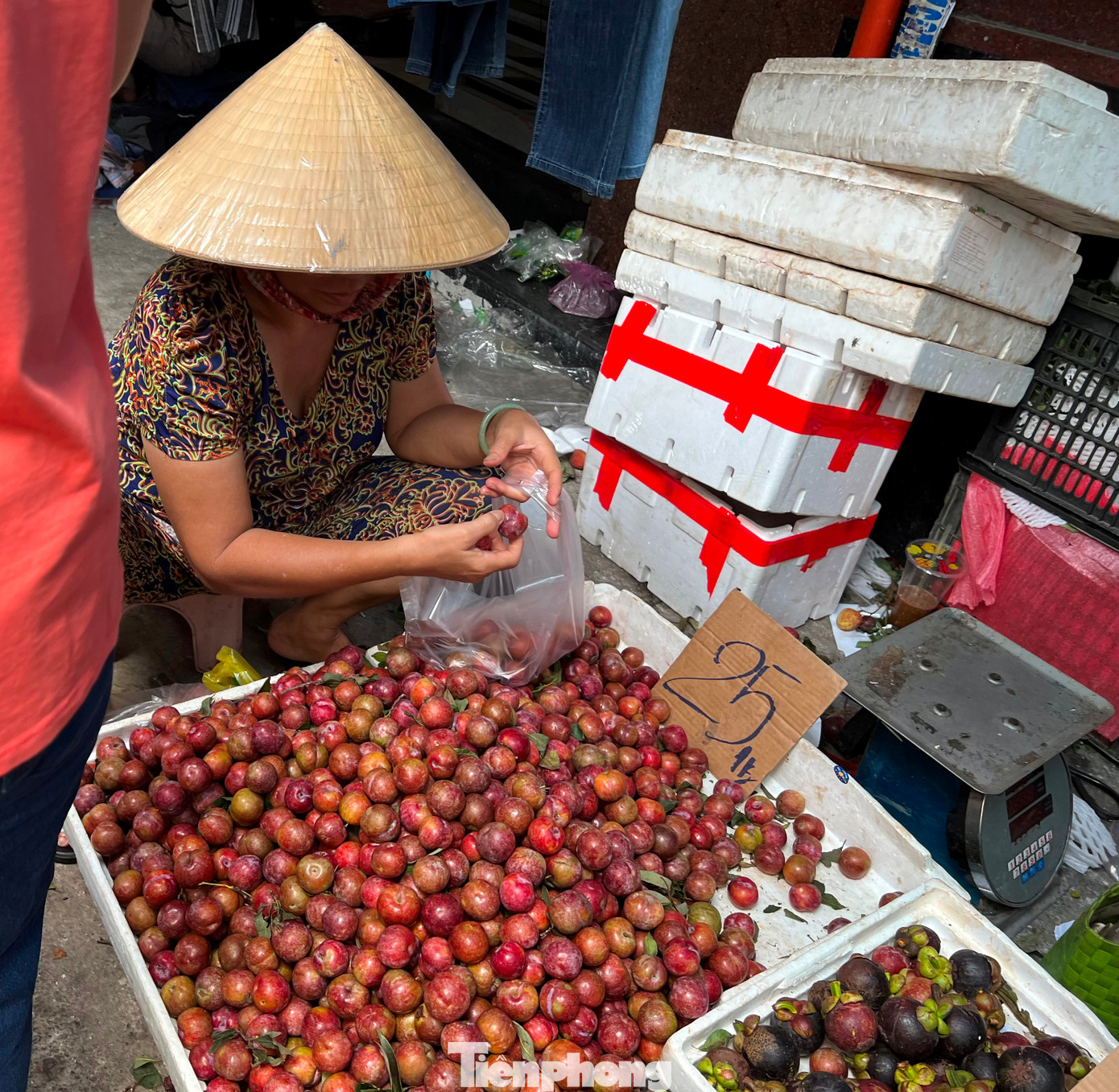 Tại chợ Bàn Cờ (quận 3), mận khá to nhưng giá rẻ hơn, chỉ 25.000 đồng/kg. "So với năm ngoái, mận hậu năm nay có giá rẻ hơn rất nhiều. Tuy nhiên, do loại quả này vẫn có vị chát, có khi còn đăng đắng nên nhiều khách không thích" - chị Hoa, bán trái cây cho hay. Tại chợ Bàn Cờ (quận 3), mận khá to nhưng giá rẻ hơn, chỉ 25.000 đồng/kg. "So với năm ngoái, mận hậu năm nay có giá rẻ hơn rất nhiều. Tuy nhiên, do loại quả này vẫn có vị chát, có khi còn đăng đắng nên nhiều khách không thích" - chị Hoa, bán trái cây cho hay.