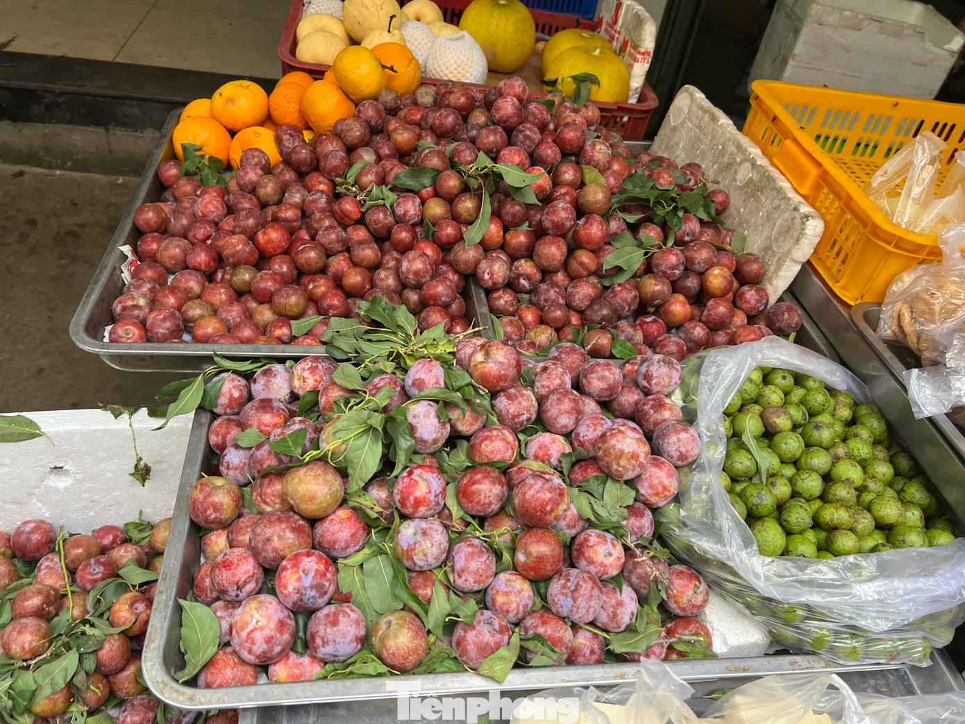 Mận hậu quả đại loại 1 có giá đến 50.000 đồng/kg, nhưng vẫn chỉ bằng 50% giá bán của hai năm trước. Mận hậu quả đại loại 1 có giá đến 50.000 đồng/kg, nhưng vẫn chỉ bằng 50% giá bán của hai năm trước.