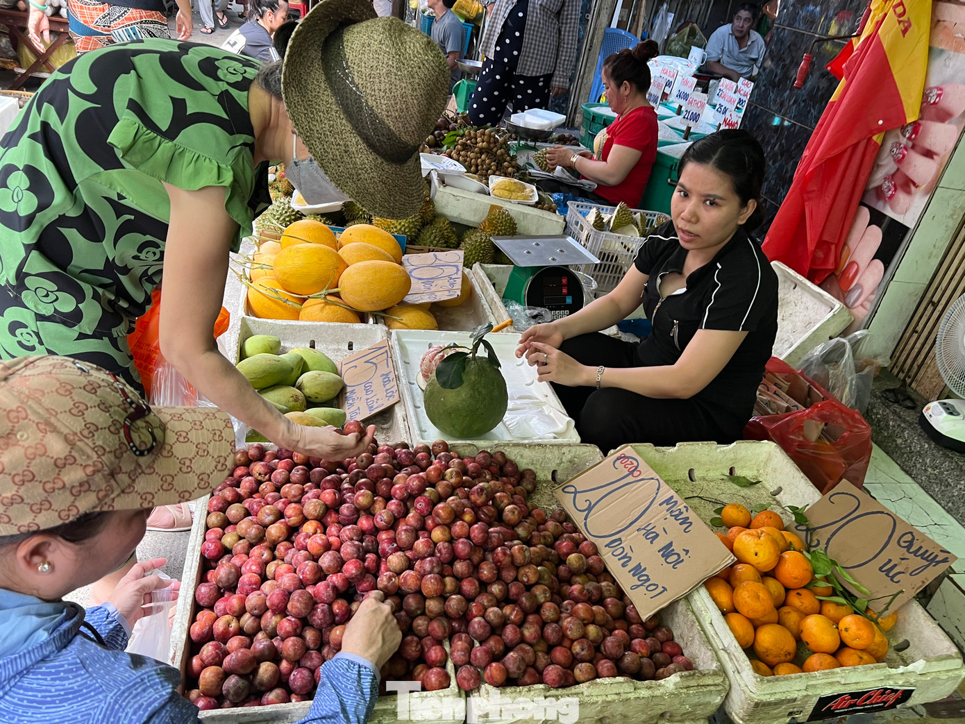 Mận hậu có nhiều ở chợ lẻ, chợ truyền thống nhưng tại các chợ đầu mối lại không có mặt hàng này. Mận hậu có nhiều ở chợ lẻ, chợ truyền thống nhưng tại các chợ đầu mối lại không có mặt hàng này.