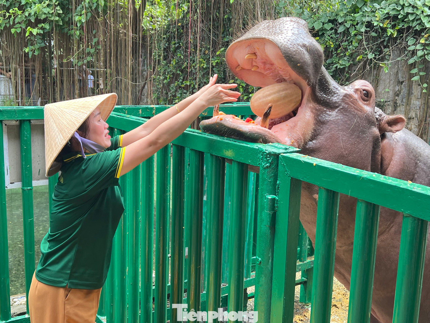 Sau đó, chú được thưởng bí ngô, dưa hấu sau khi đã đánh răng sạch sẽ.