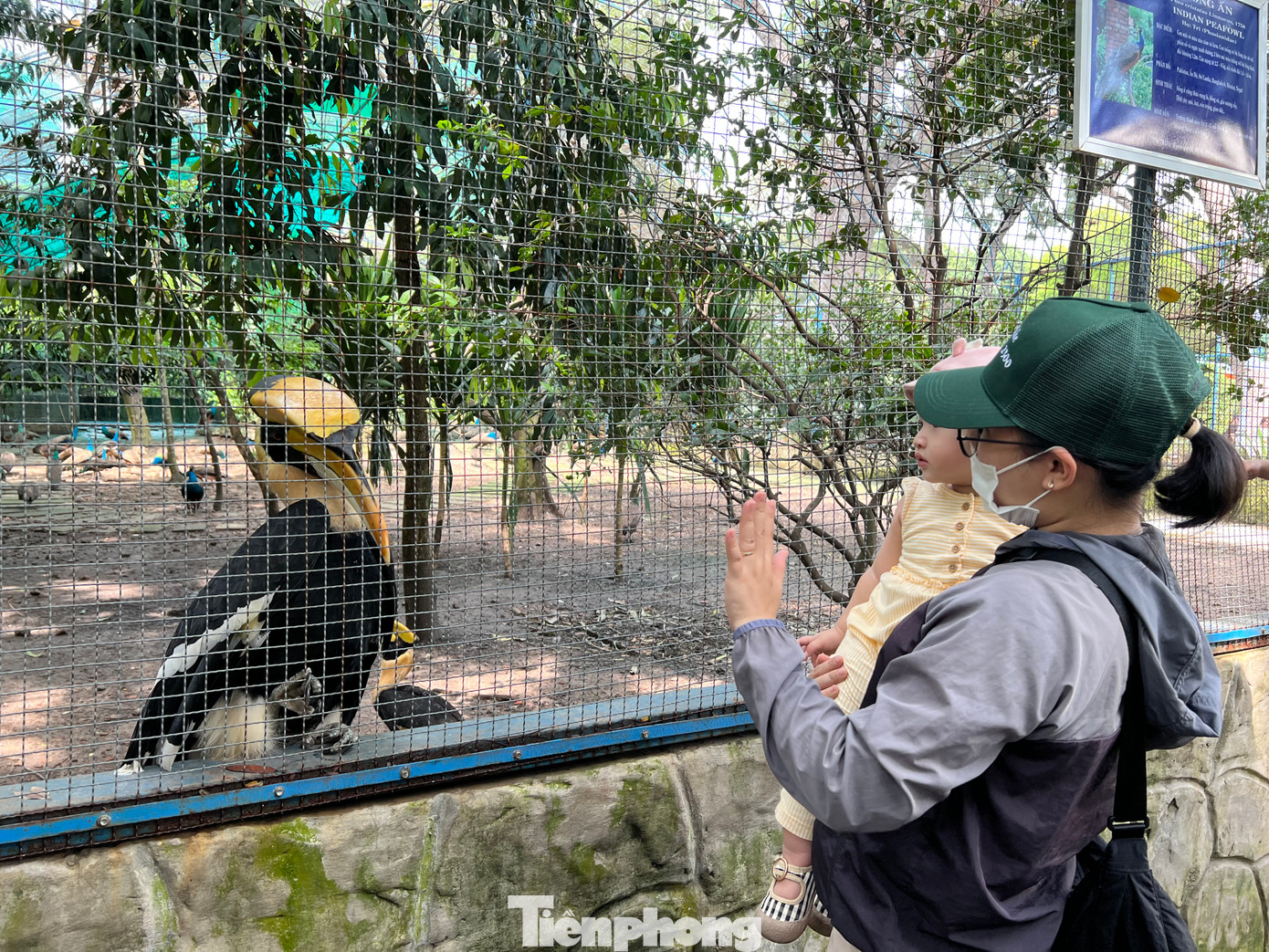 Các bé nhỏ thích thú ngắm các bạn chim tại vườn thú