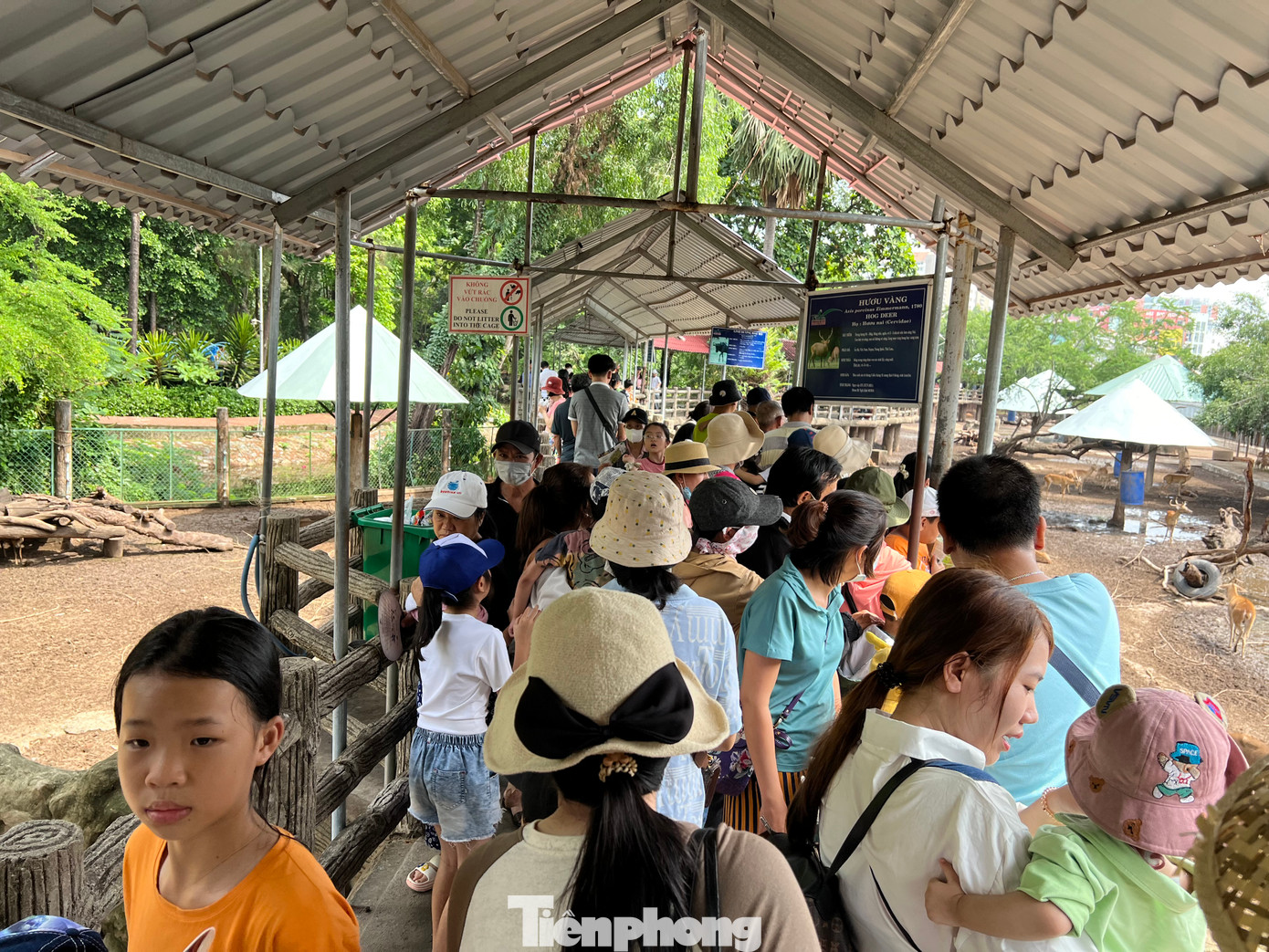 Càng về trưa, các khu vực ngắm thú càng đông người.