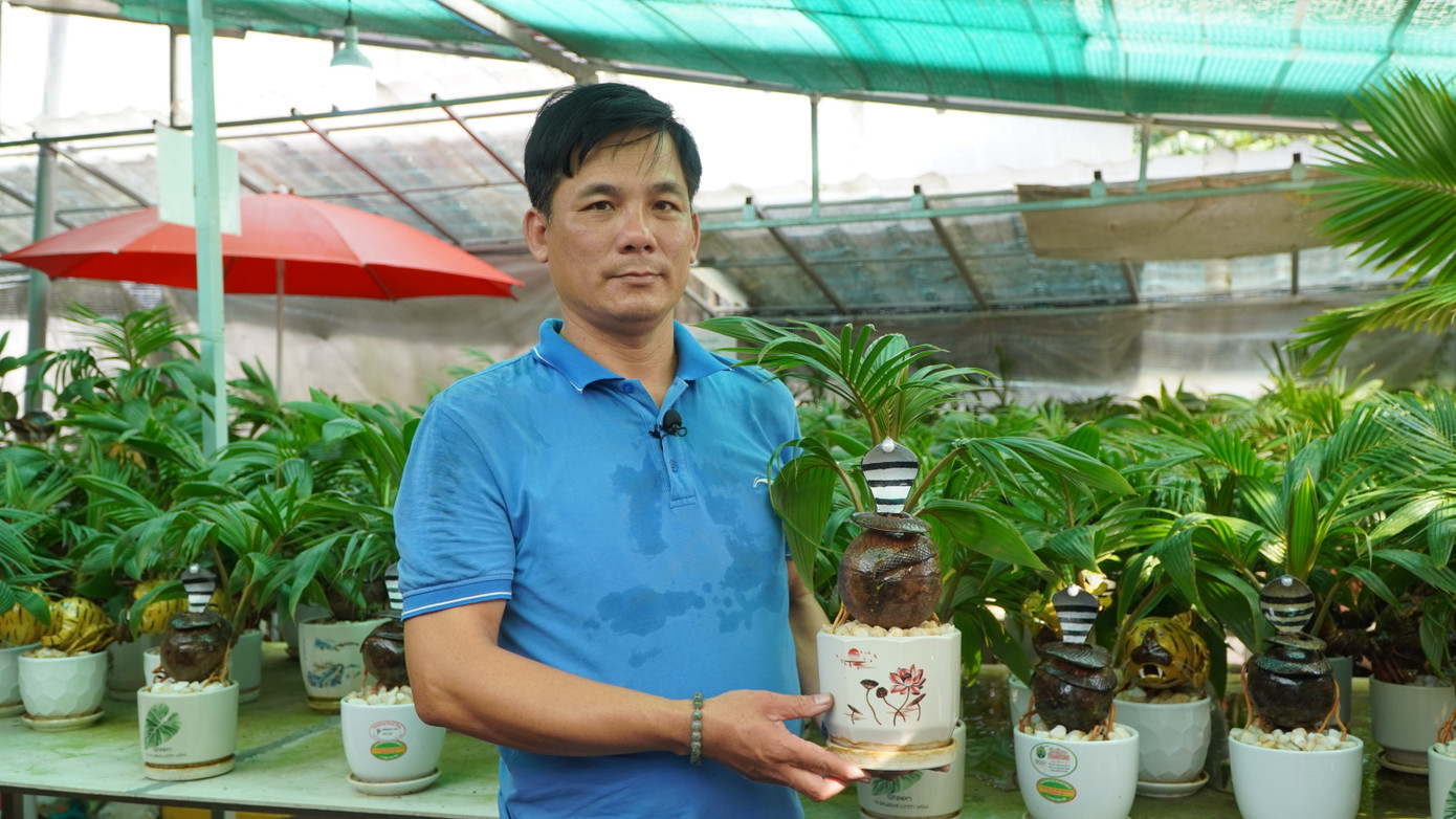 Anh Đậu Thanh Tùng "khoe" sản phẩm rắn ngậm ngọc làm từ dừa bon sai được anh trồng từ 8 tháng trước