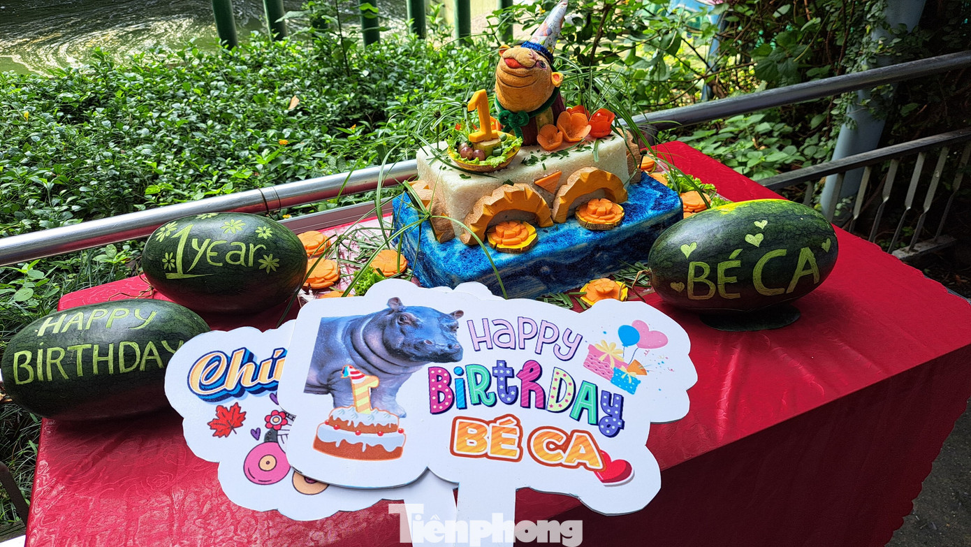 Ngày 2/8, Thảo cầm viên Sài Gòn đã tổ chức lễ thôi nôi cho bé hà mã tên Ca thật hoành tráng.