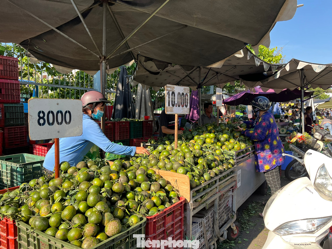 Đại diện chợ đầu mối nông sản Thủ Đức cho biết, giá các loại trái cây trong tuần vừa qua không biến động. Cụ thể, bưởi da xanh 25.000 đồng/kg, dưa hấu từ 11.000 - 12.000 đồng/kg, cam sành Vĩnh Long 13.000 đồng/kg, vú sữa Cần Thơ 15.000 đồng/kg, nhãn Huế 15.000 đồng/kg, đu đủ 10.000 đồng/kg...