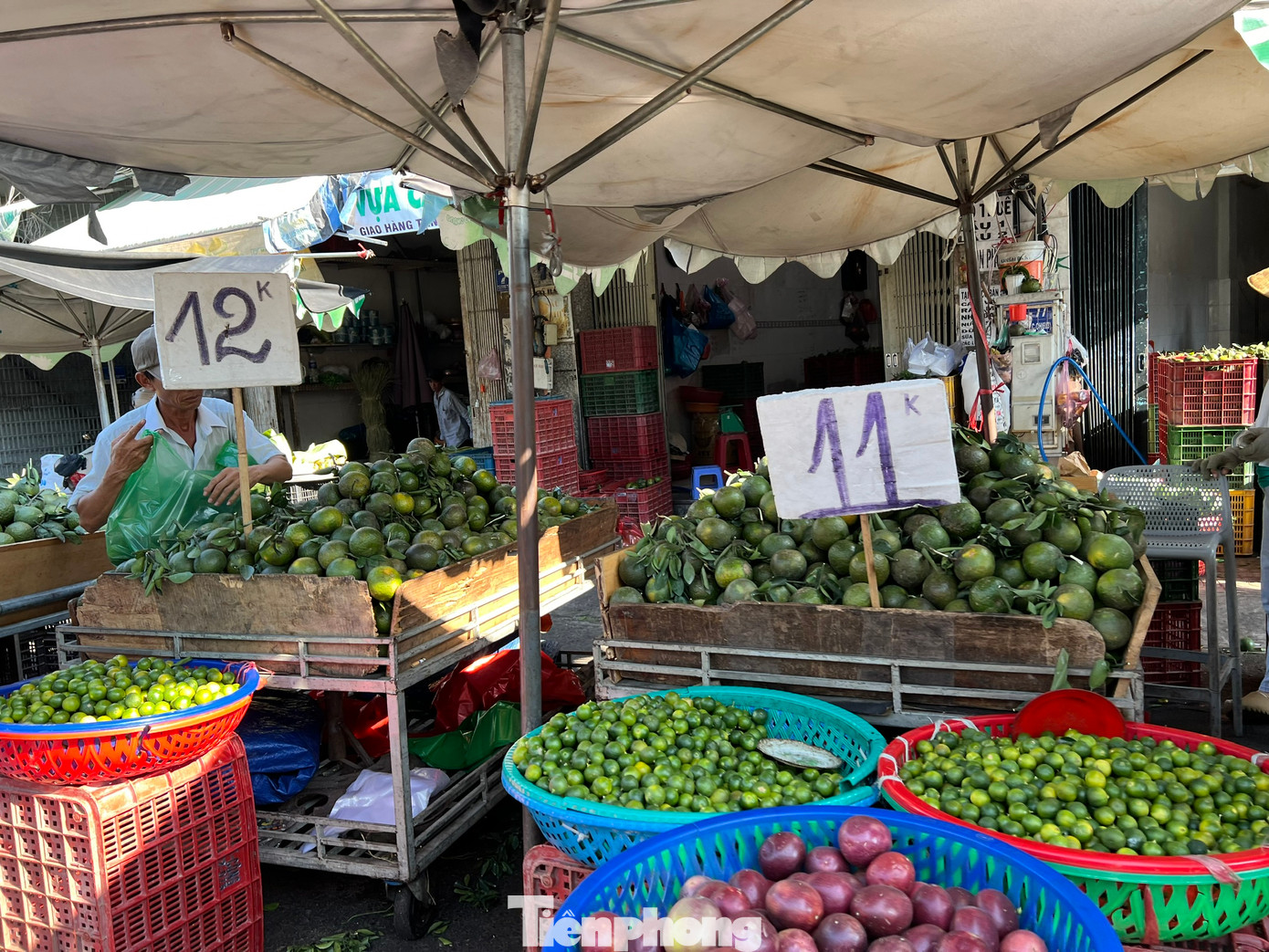 Cam được phân loại lớn bé nên có giá khác nhau. Ngoài cam còn có tắc, chanh dây với giá chỉ từ 15.000 - 20.000 đồng/kg. Đây đều là những loại trái cây được dùng làm nước uống tăng cường sức khỏe, giải nhiệt mùa nắng nóng.