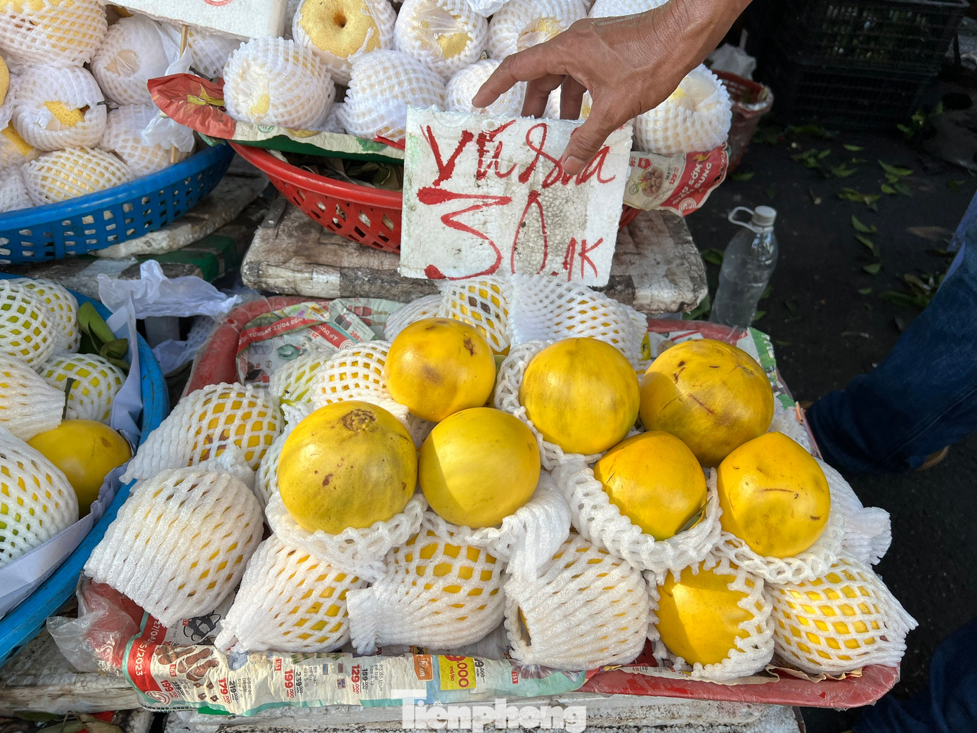 Vú sữa hoàng kim vỏ vàng, ruột trắng, vị ngọt trước đây có giá cả trăm nghìn đồng/kg vẫn không có hàng để bán, nay chỉ còn 30.000 đồng/kg nhưng vẫn rất ít khách mua.