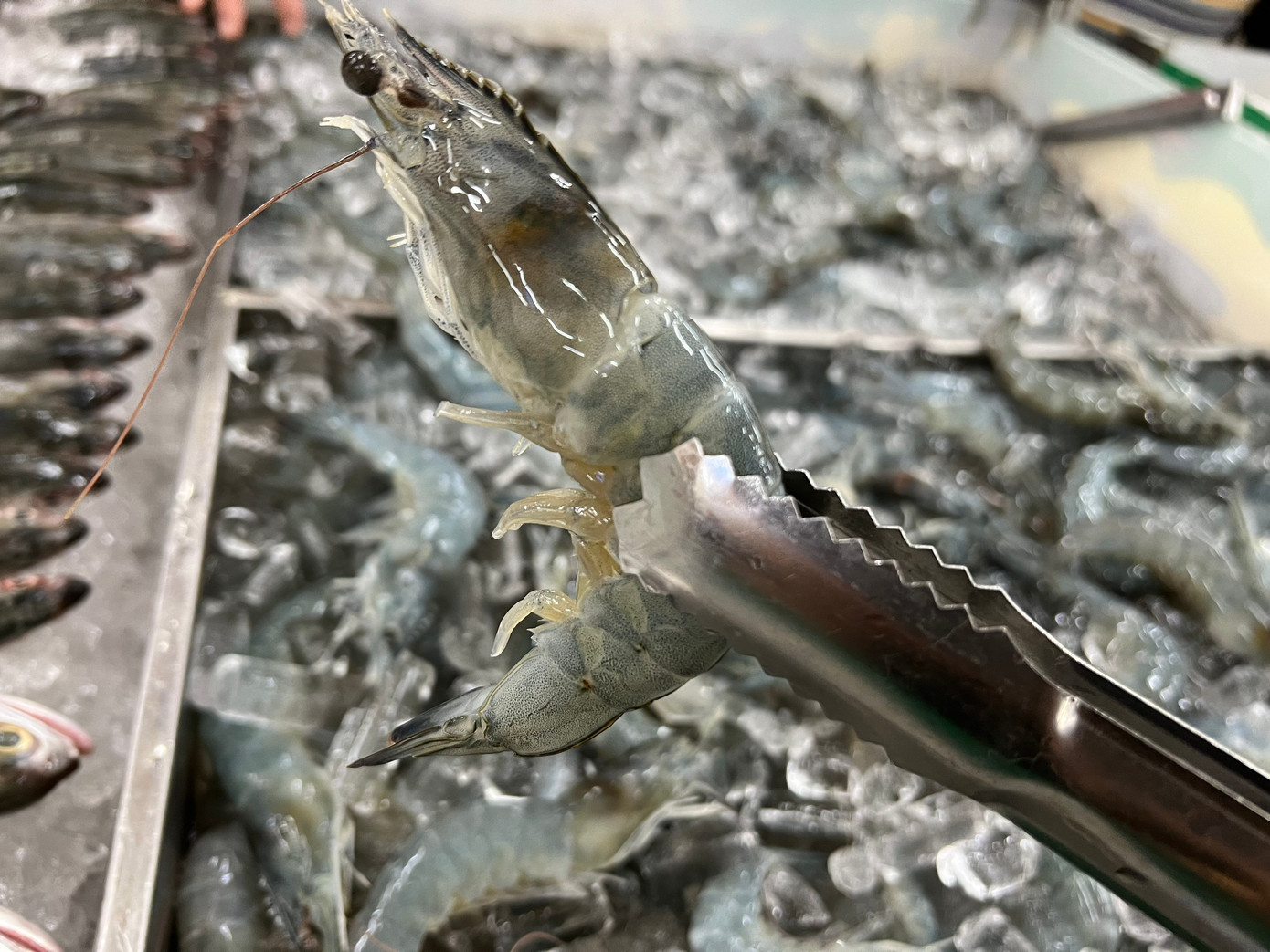 Tôm Minh Phú bán tại Bách hóa Xanh có giá 165.000 đồng/kg.