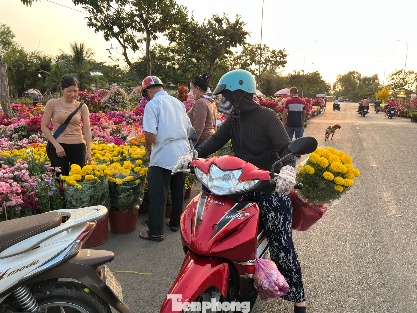 Chợ hoa xuân Bình Điền sẽ mở cửa đến hết ngày 8/2 (29 Tết) để phục vụ nhu cầu của người dân TPHCM.