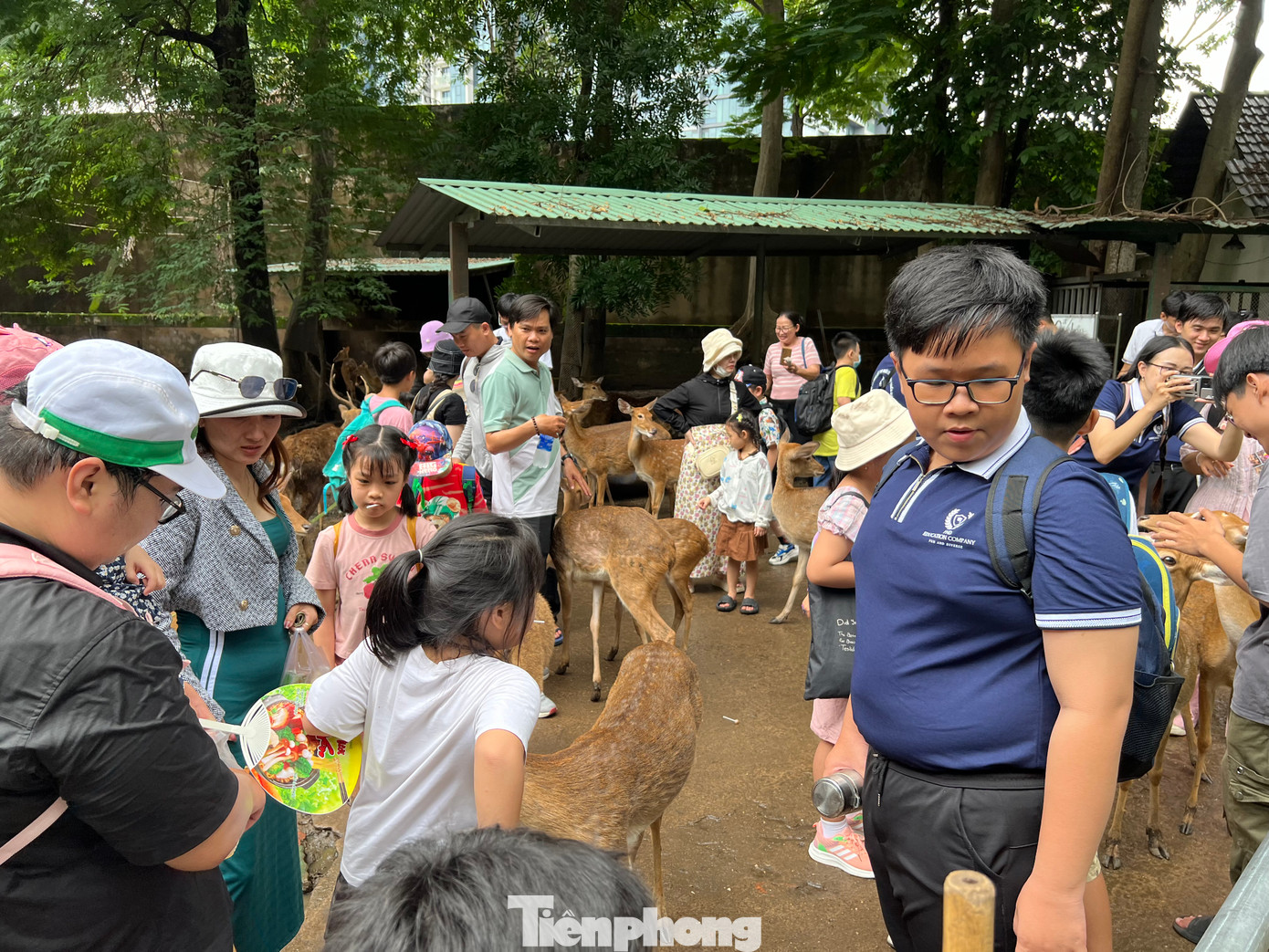Rất đông du khách đến tham quan Thảo Cầm Viên. Dịp này, Thảo Cầm Viên có nhiều chương trình như kéo co với hổ, đánh răng cho hà mã, cho gấu ăn kem... diễn ra trong những ngày nghỉ lễ 2/9.