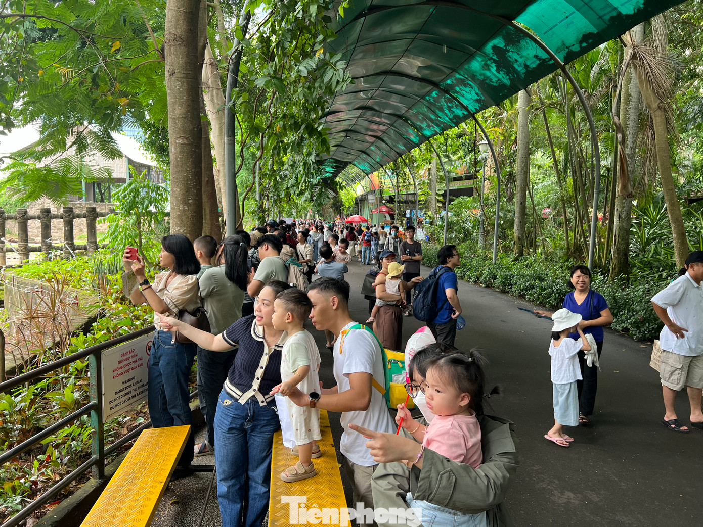 Thảo Cầm Viên vẫn rợp bóng mát dù thời tiết oi nóng.