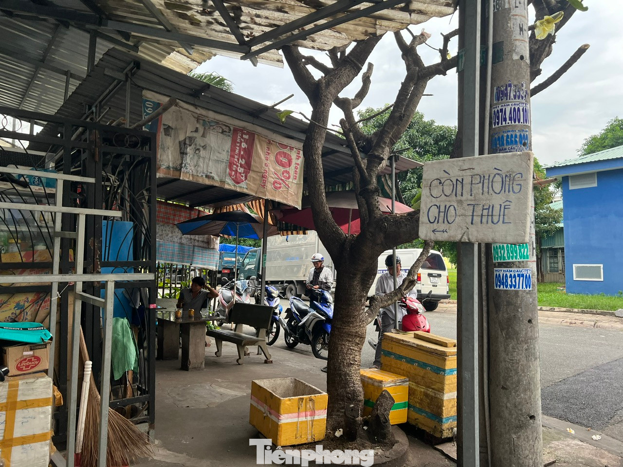 Phường Tân Tạo (quận Bình Tân, TPHCM) từng được mệnh danh là “thủ phủ nhà trọ” ở TPHCM, hiện nay trở nên đìu hiu, vắng vẻ vì công nhân lần lượt trả phòng về quê. Một số chủ nhà trọ treo bảng “cho thuê phòng”, "còn phòng cho thuê"... cả năm nay nhưng chưa cho thuê được.