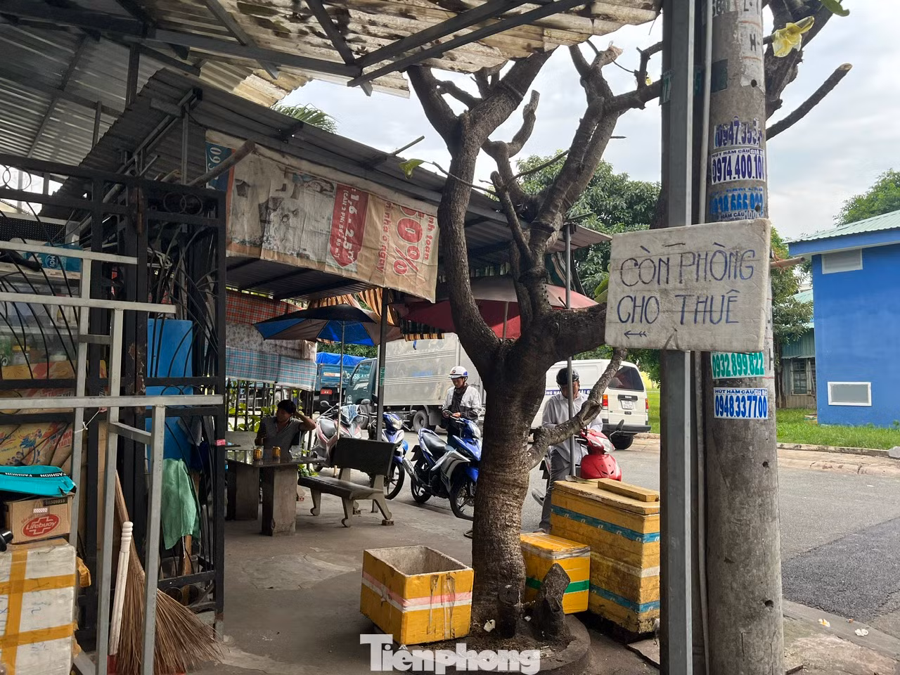 Phường Tân Tạo (quận Bình Tân, TPHCM) từng được mệnh danh là “thủ phủ nhà trọ” ở TPHCM, hiện nay trở nên đìu hiu, vắng vẻ vì công nhân lần lượt trả phòng về quê. Một số chủ nhà trọ treo bảng “cho thuê phòng”, "còn phòng cho thuê"... cả năm nay nhưng chưa cho thuê được.