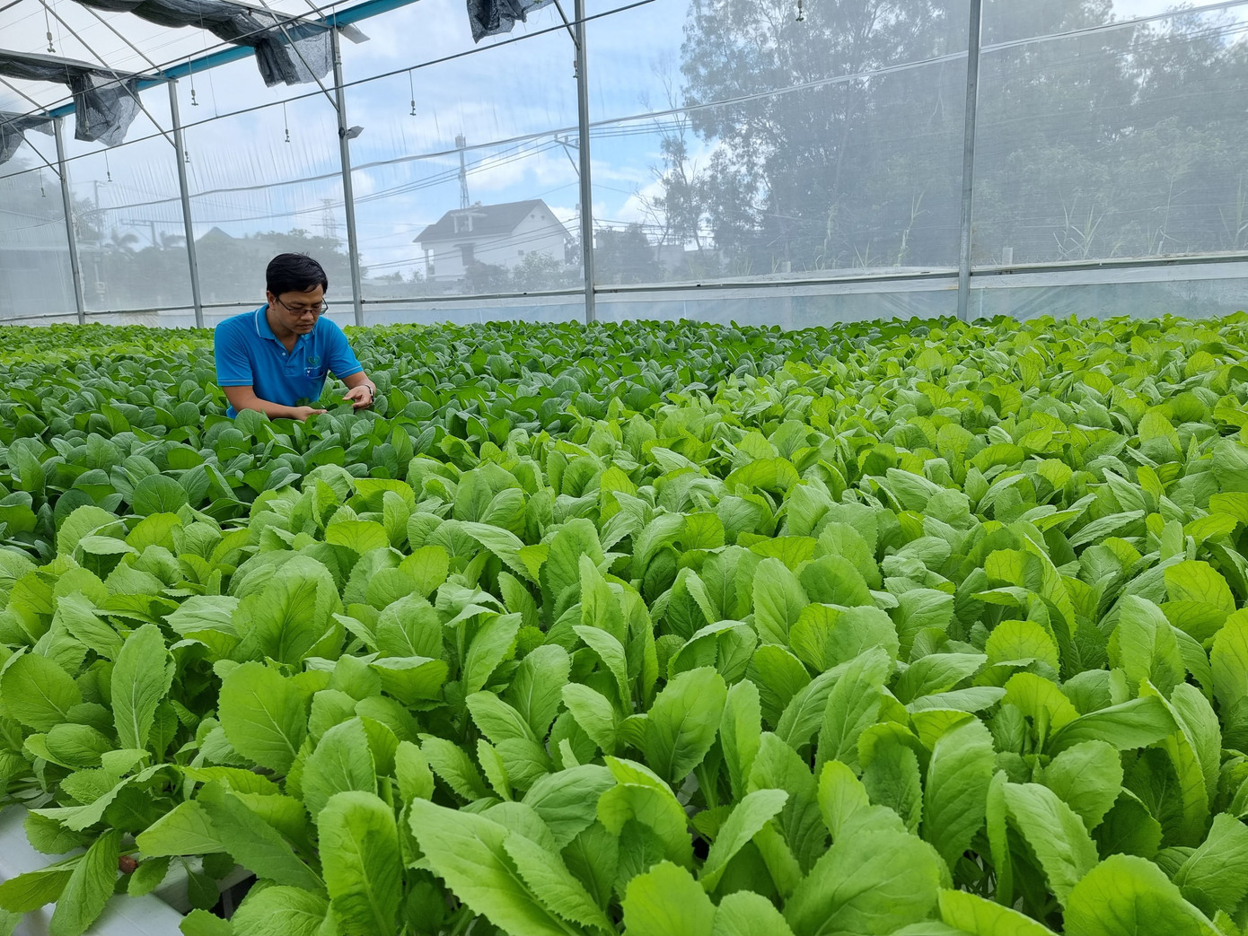 Doanh nghiệp nông nghiệp công nghệ cao TPHCM mong muốn được vay vốn hỗ trợ lãi suất