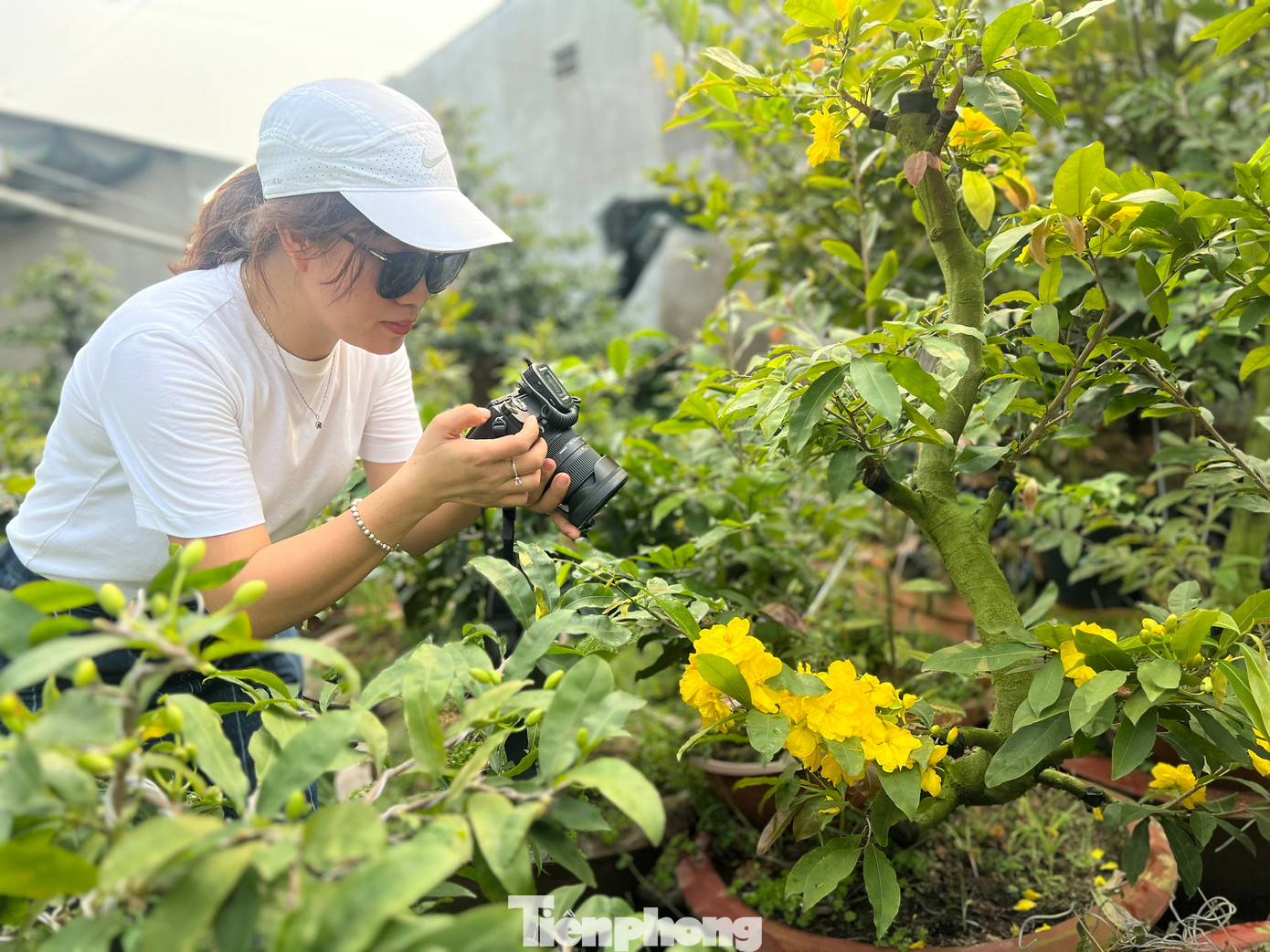 Chị Nguyễn Thủy (40 tuổi, ngụ TP Thủ Đức) vượt quãng đường hơn 50 km để “check-in” sớm với những cây mai siêu bông Bình Lợi đang gây sốt trên thị trường. "Khi thấy sản phẩm được giới thiệu trên YouTube, tôi đã ngạc nhiên và thích thú nên chạy xe hơn cả giờ đồng hồ để được chiêm ngưỡng lại loại mai đang gây sốt thị trường này” – chị Thủy cho biết.