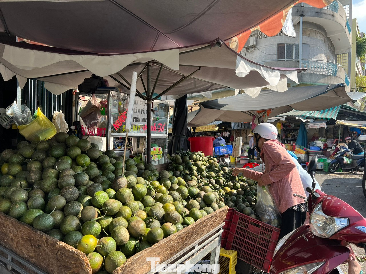Đại diện chợ đầu mối nông sản Bình Điền cho biết, lượng cam sành về chợ mỗi đêm khoảng 86 tấn, giá loại 1 vẫn đang ở mức 13.000 đồng/kg, loại 2 ở mức 10.000 đồng/kg. Giá này vẫn còn khá cao so với thời điểm 2 năm trước khi giá cam sành có lúc rớt xuống chỉ khoảng 8.000 đồng/kg. “Cam sành về chợ đầu mối được tuyển chọn đồng nhất về chủng loại và chất lượng, trong khi hàng bán xổ, giá rẻ đa số là hàng dạt, “tiền nào của nấy” – bà Bình, thương nhân kinh doanh trái cây tại chợ Bình Điền nói. Đại diện chợ đầu mối nông sản Bình Điền cho biết, lượng cam sành về chợ mỗi đêm khoảng 86 tấn, giá loại 1 vẫn đang ở mức 13.000 đồng/kg, loại 2 ở mức 10.000 đồng/kg. Giá này vẫn còn khá cao so với thời điểm 2 năm trước khi giá cam sành có lúc rớt xuống chỉ khoảng 8.000 đồng/kg. “Cam sành về chợ đầu mối được tuyển chọn đồng nhất về chủng loại và chất lượng, trong khi hàng bán xổ, giá rẻ đa số là hàng dạt, “tiền nào của nấy” – bà Bình, thương nhân kinh doanh trái cây tại chợ Bình Điền nói.