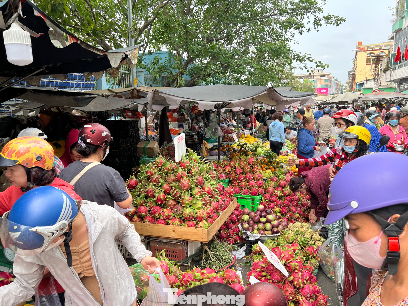 "Núi" thanh long đỏ rực khu chợ, giá từ 30.000 đồng/kg. Khách mua tấp nập. "Núi" thanh long đỏ rực khu chợ, giá từ 30.000 đồng/kg. Khách mua tấp nập.