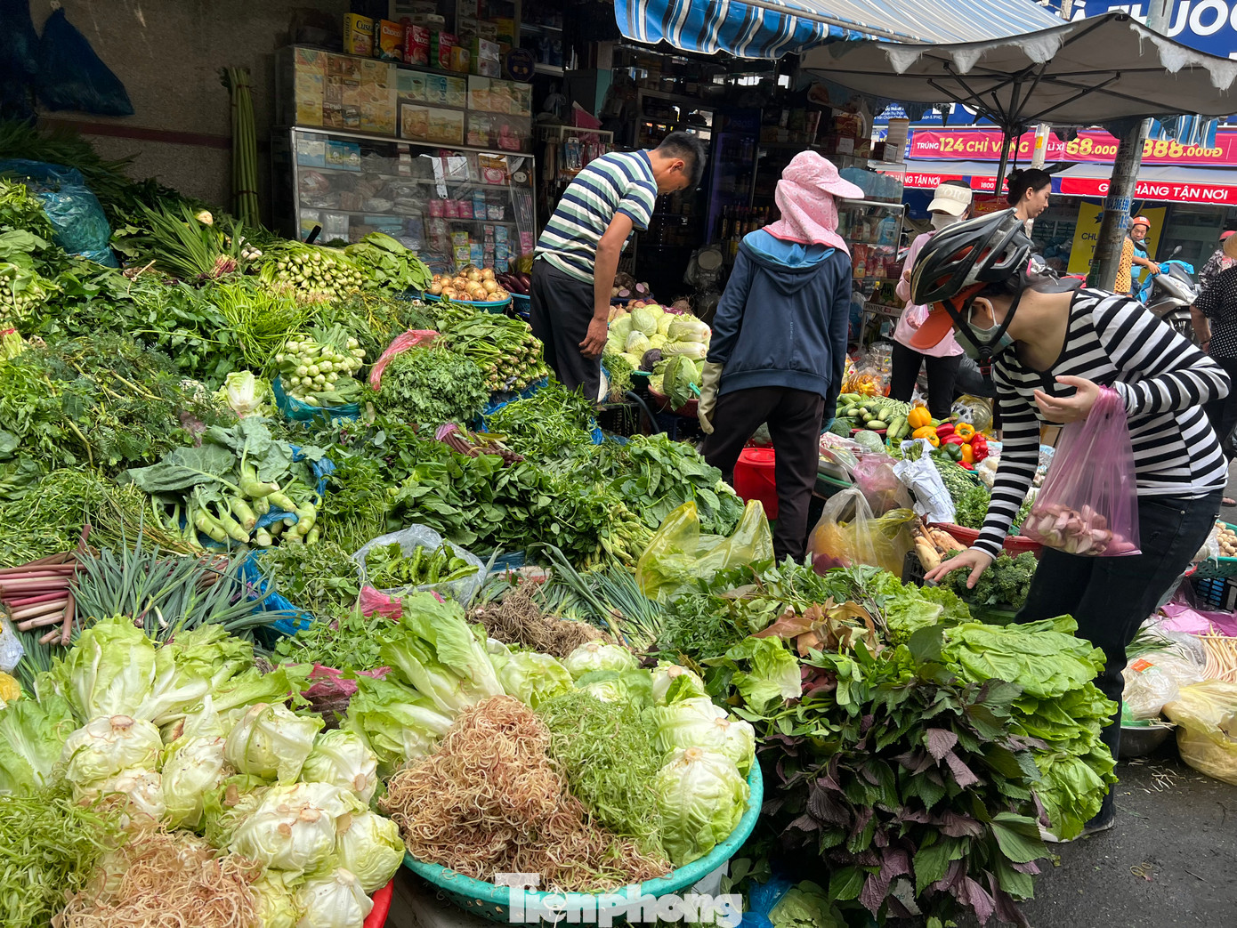 Rau xanh tăng giá nhẹ, như xà lách 60.000 đồng/kg, dưa leo 35.000 đồng/kg... Rau xanh tăng giá nhẹ, như xà lách 60.000 đồng/kg, dưa leo 35.000 đồng/kg...