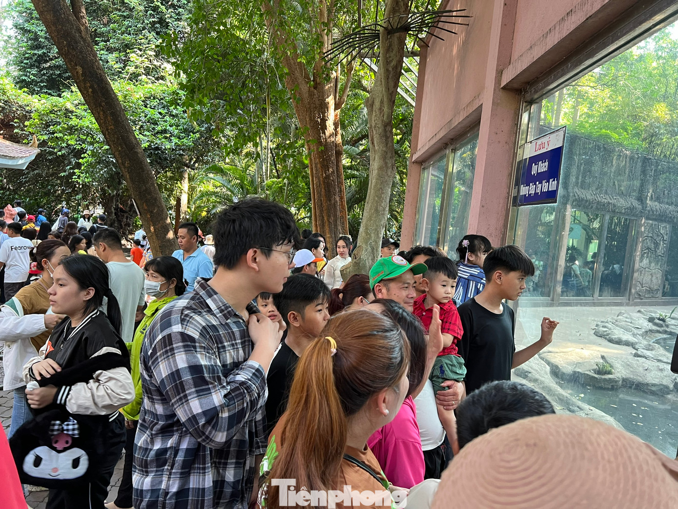 Lúc 14 giờ ngày 13/2 (mùng 4 Tết), rất đông du khách hào hứng chờ đợi xem màn kéo co với hổ trắng. Trong cái nắng 36 độ ở TPHCM, nhiều người vẫn kiên nhẫn chờ đợi. &quot;Đến Thảo Cầm Viên nhiều lần, nhưng đây là lần đầu tiên tôi biết có chương trình kéo co với hổ. Đặc biệt, hoạt động này chỉ diễn ra một số ít ngày trong những dịp đặc biệt như lễ, Tết nên tôi cố gắng ở lại chờ xem&quot; - anh Thanh Tùng (du khách đến từ Bình Dương) vui vẻ nói.