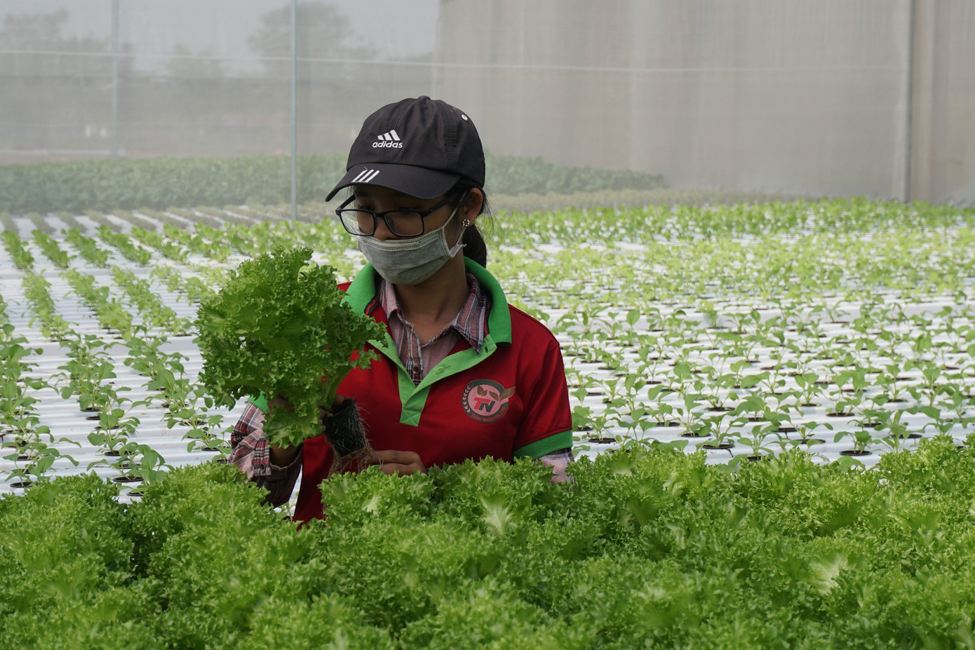 Vấn đề an toàn thực phẩm đang được người dân quan tâm