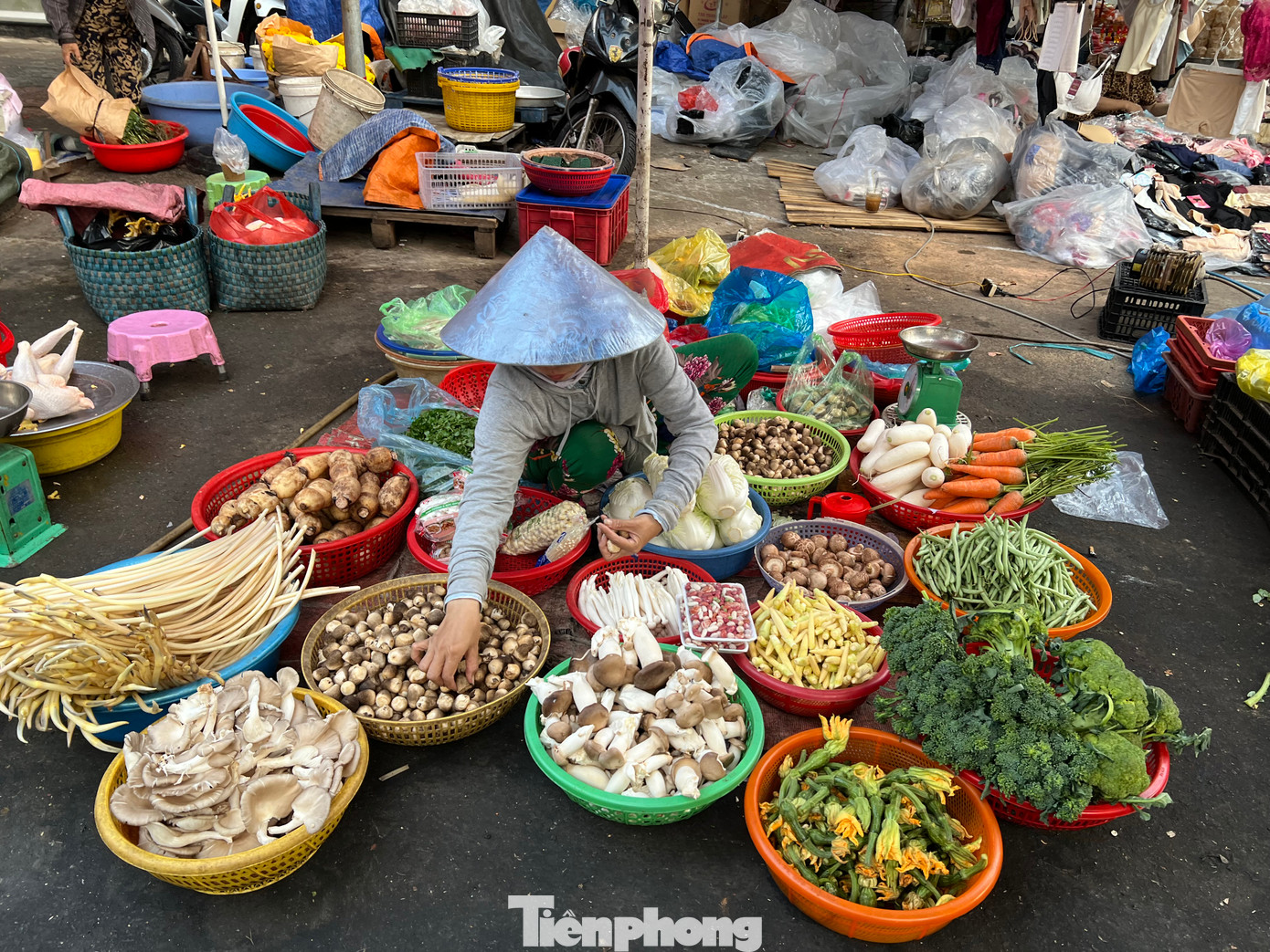 Các loại rau củ như nấm rơm, bông cải, đậu cô-ve... có giá từ 30.000 - 60.000 đồng/kg.