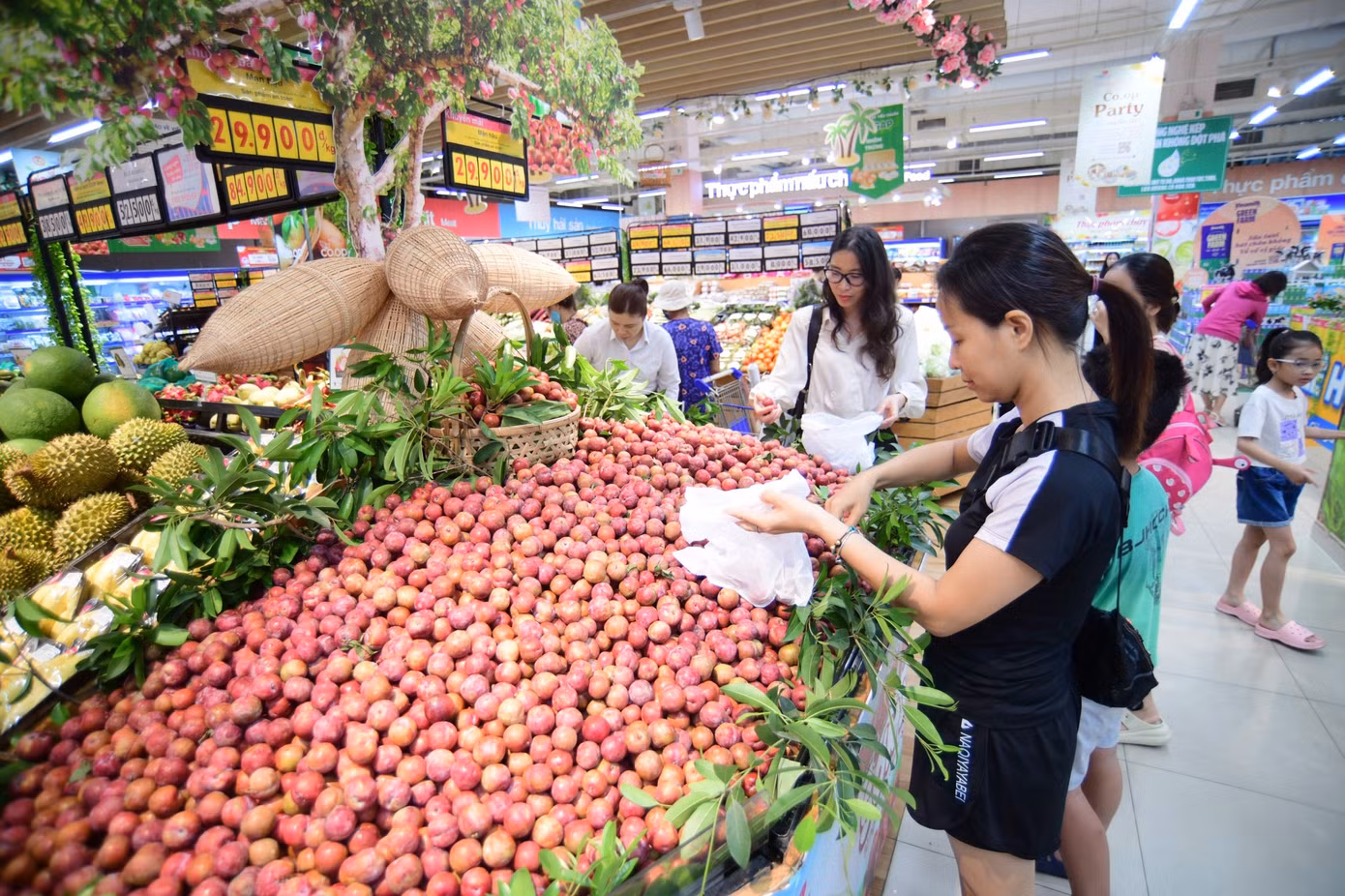 Tại siêu thị, mận hậu có giá khuyến mãi chỉ 29.900 đồng/kg. Đại diện hệ thống Co.op Mart cho biết, đây là sản phẩm đầu tiên siêu thị này giao thương với các tỉnh Tây Bắc nhằm đưa đặc sản các địa phương này đi xa. Dự kiến, siêu thị này sẽ tiêu thụ khoảng 100 tấn mận hậu của huyện Mộc Châu trong mùa vụ năm nay. Tại siêu thị, mận hậu có giá khuyến mãi chỉ 29.900 đồng/kg. Đại diện hệ thống Co.op Mart cho biết, đây là sản phẩm đầu tiên siêu thị này giao thương với các tỉnh Tây Bắc nhằm đưa đặc sản các địa phương này đi xa. Dự kiến, siêu thị này sẽ tiêu thụ khoảng 100 tấn mận hậu của huyện Mộc Châu trong mùa vụ năm nay.