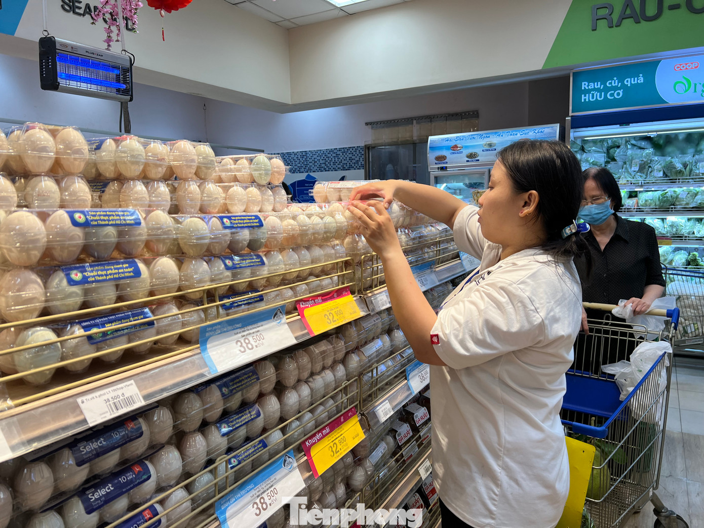 Trứng gà giảm từ 3.350 đồng/quả xuống còn khoảng 3.000 đồng/quả, thậm chí thấp hơn tùy địa điểm.