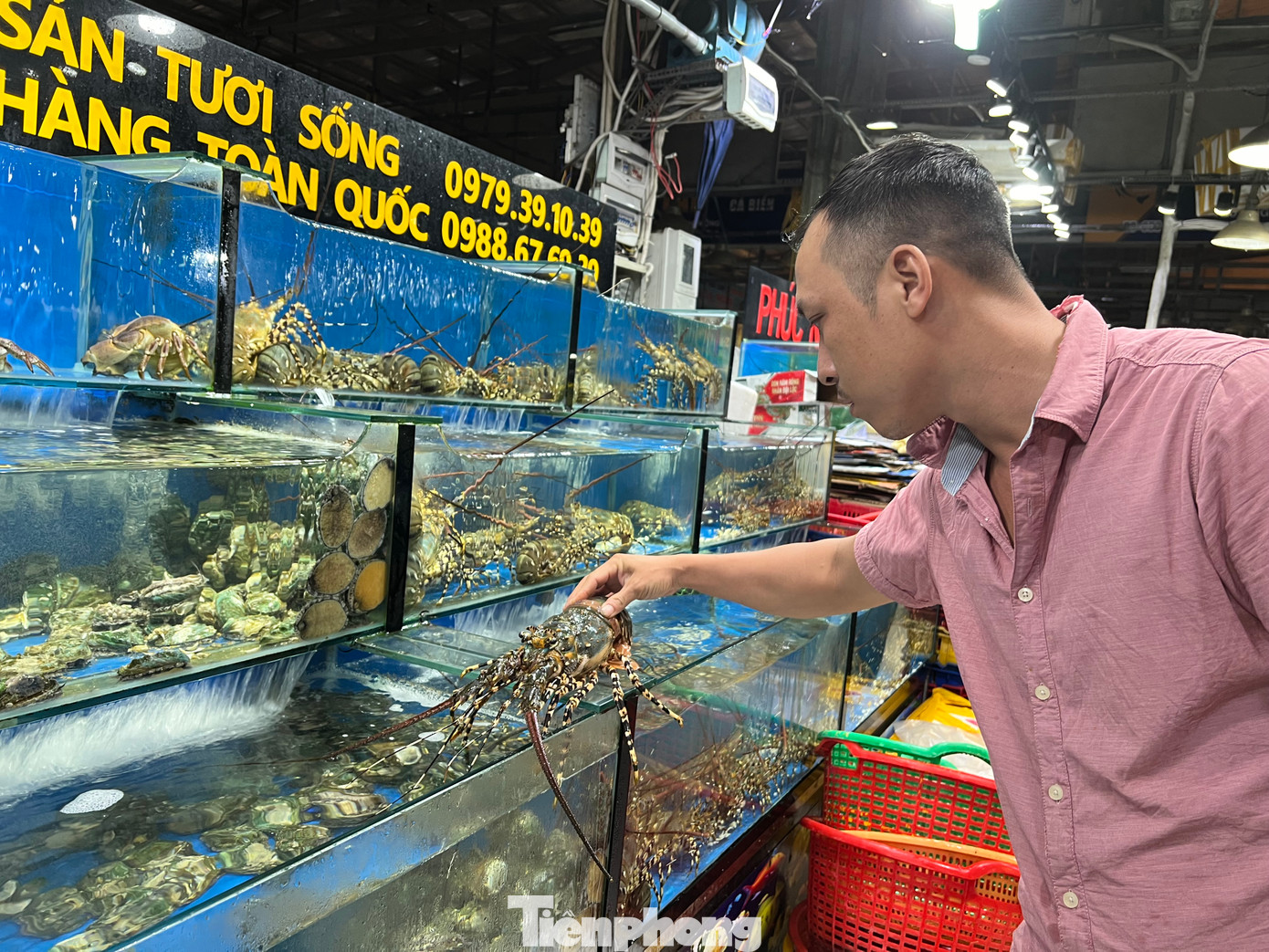 Thủy hải sản cũng được tiêu thụ mạnh dịp cận Tết. Bà Minh Thủy - tiểu thương kinh doanh thủy hải sản tươi sống tại chợ đầu mối Bình Điền - cho biết: “Hiện sản lượng nhập về chợ đã tăng gấp đôi so với ngày thường, trong đó đắt hàng nhất là tôm, mực, bạch tuộc, sò ốc các loại. Giá cả có tăng nhẹ khoảng 10% do chi phí vận chuyển, giá thuê mướn nhân công ngày Tết”.