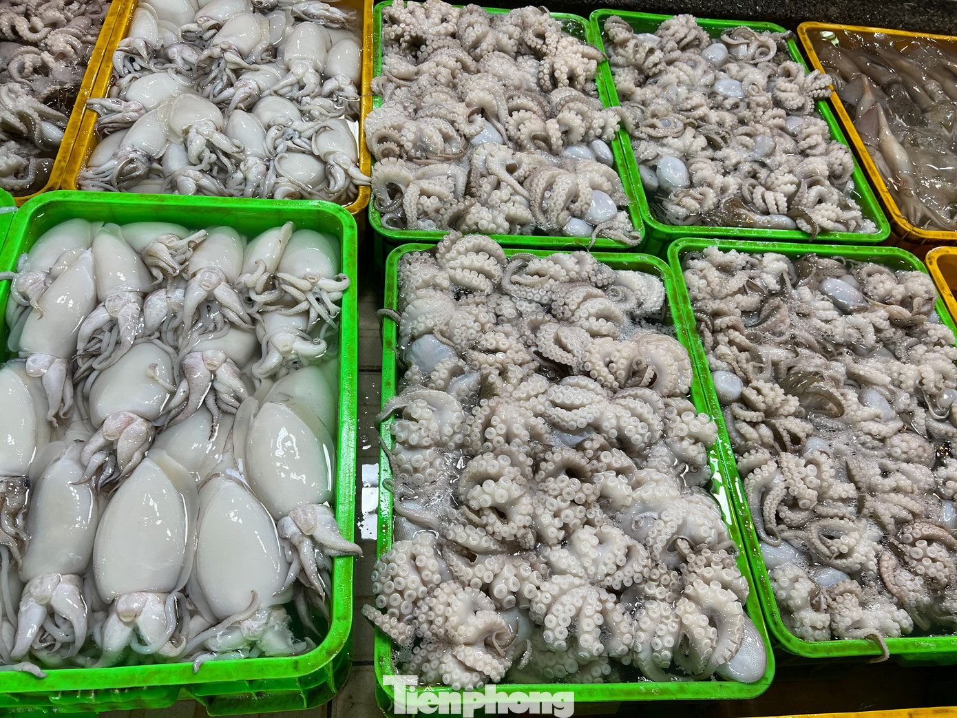 Khảo sát giá một số mặt hàng thủy hải sản tại nhiều chợ truyền thống: Tôm sú loại 1 từ 400.000 - 450.000 đồng/kg, tôm thẻ loại 1 là 250.000 - 300.000 đồng/kg, cua Cà Mau 400.000 - 600.000 đồng/kg, mực lá 250.000 - 300.000 đồng/kg, mực ống 200.000 - 250.000 đồng/kg, cá lóc 80.000 - 120.000 đồng/kg…