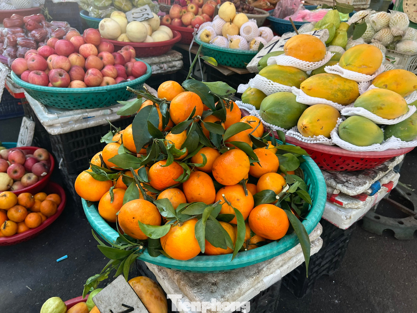 Quýt Úc bán tại chợ có màu cam đẹp mắt, quả tròn và mọng nước. Quýt Úc bán tại chợ có màu cam đẹp mắt, quả tròn và mọng nước.