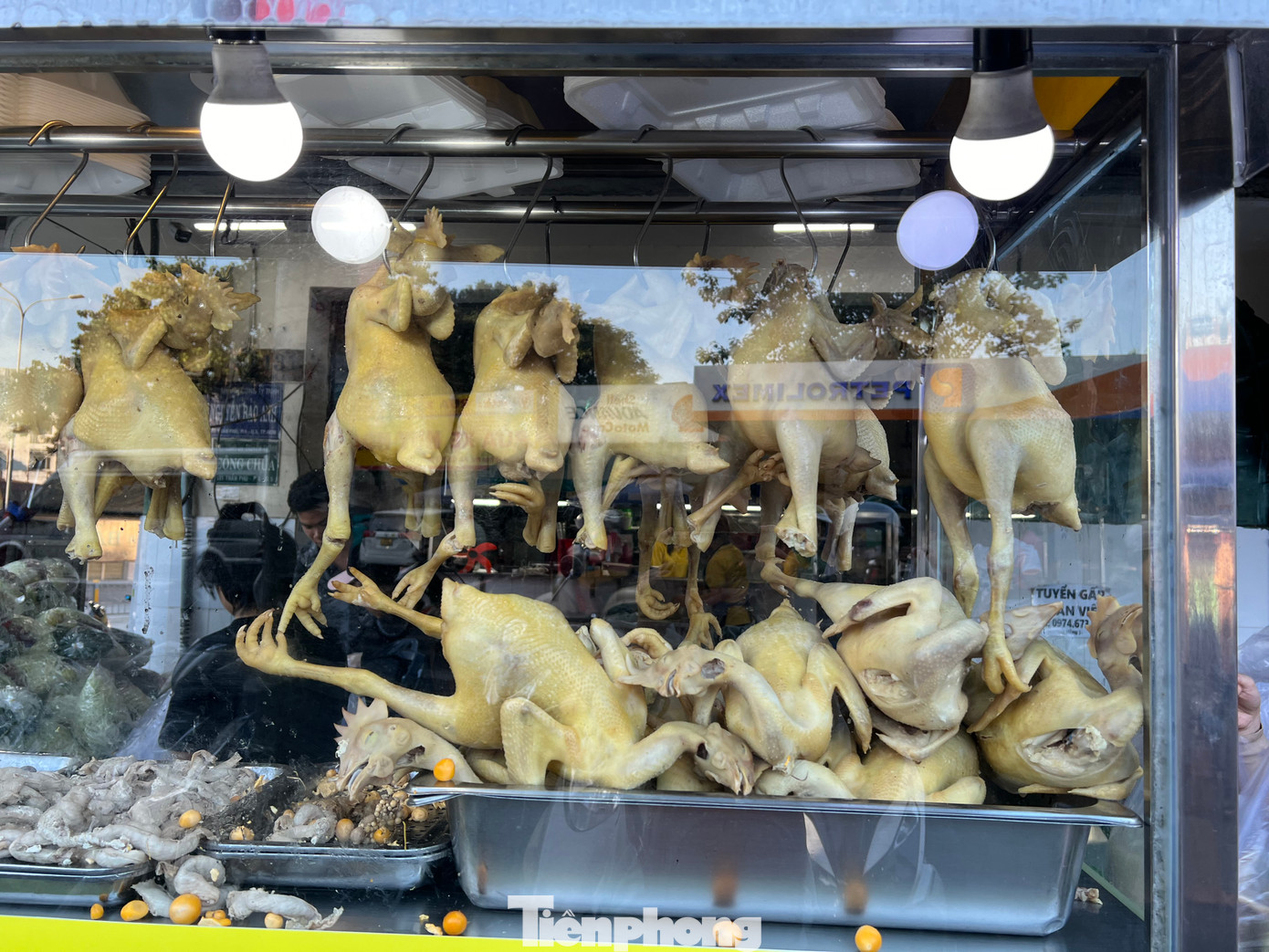 Những con gà cúng phải đảm bảo tiêu chí mập mạp, da căng mẩy.