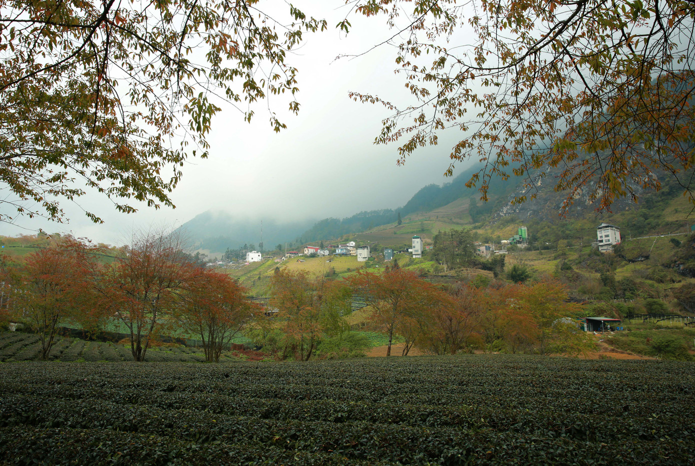 Nơi đây là địa điểm níu chân các du khách bởi vẻ đẹp thơ mộng huyền ảo mà chẳng thua kém gì các địa điểm du lịch nổi tiếng khác.