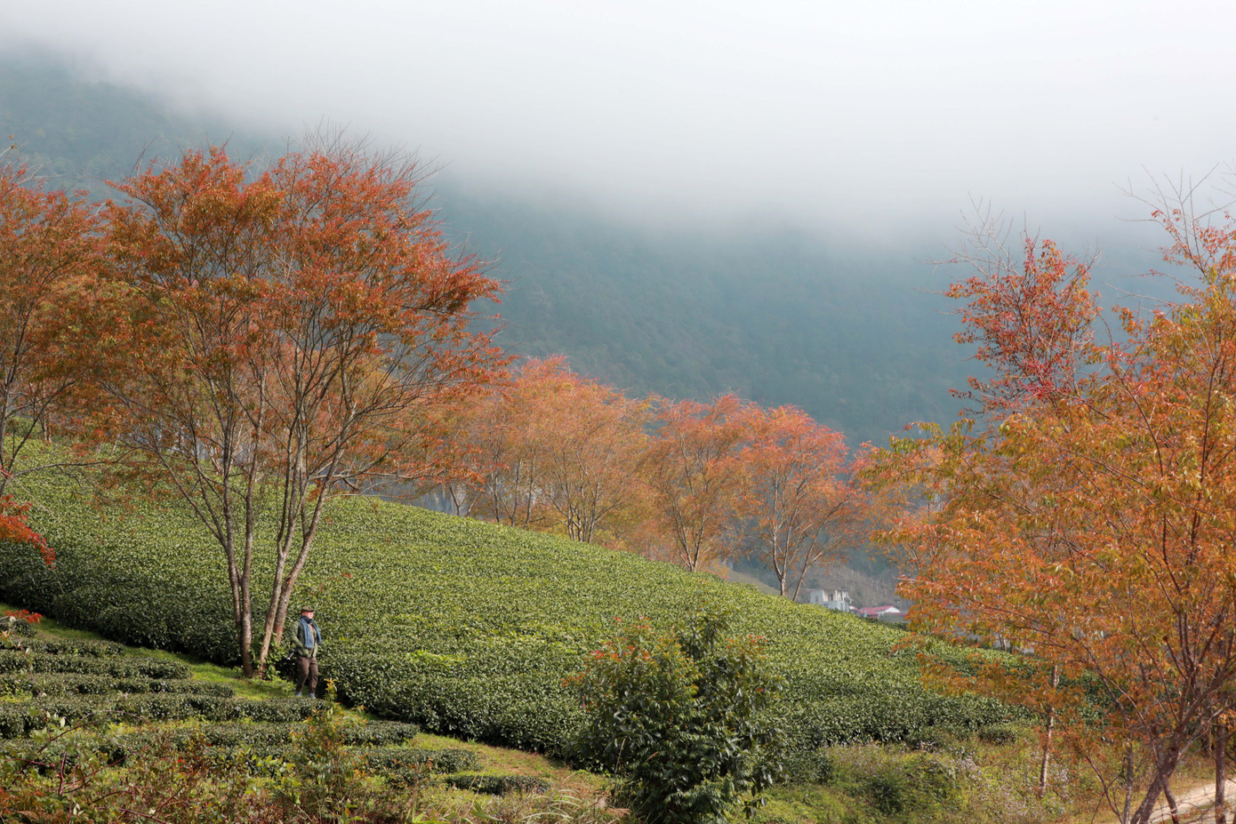Địa điểm này đã không ít lần lọt vào tầm mắt của những tay săn ảnh để tạo ra những bức ảnh xuất sắc.