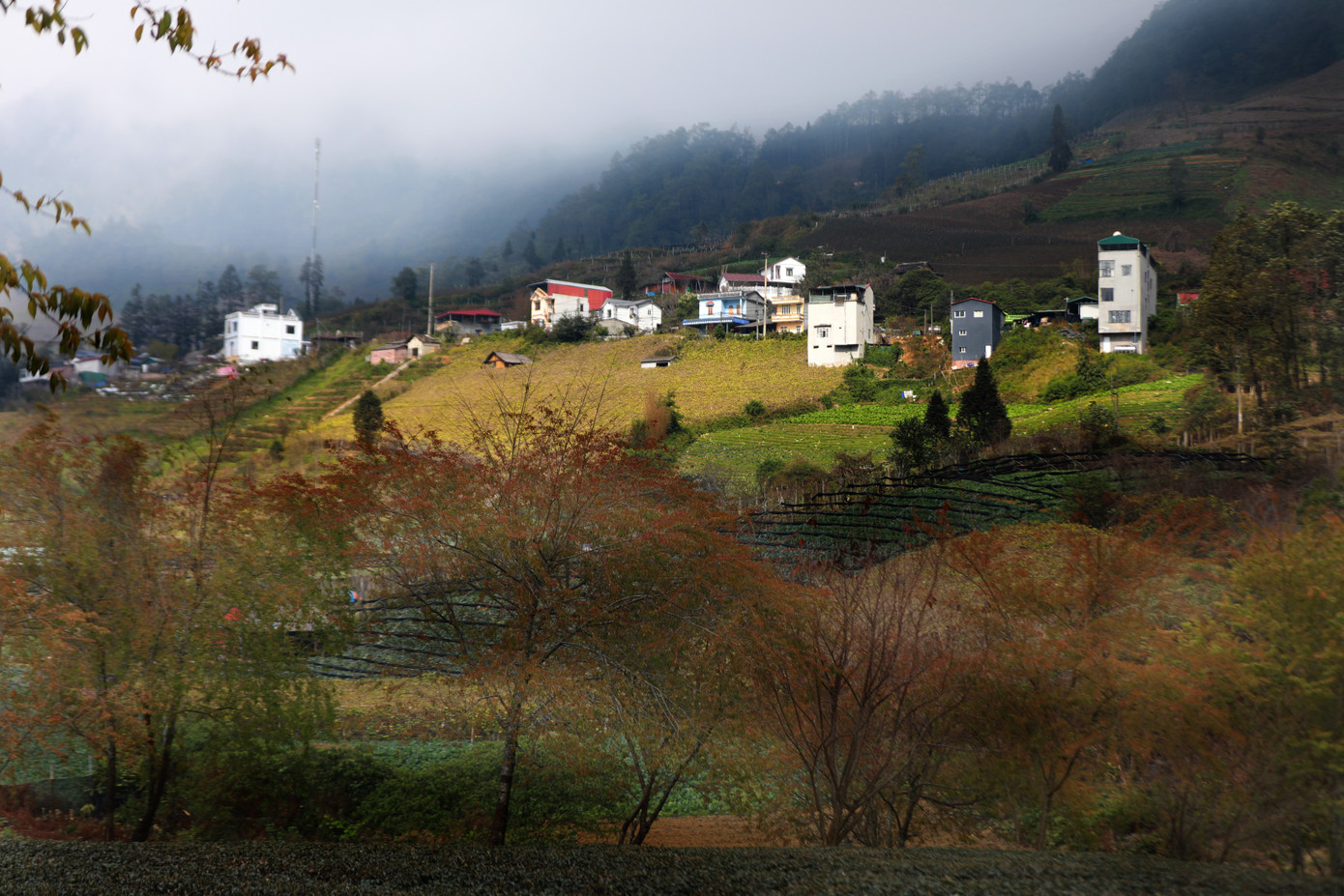 Dù là địa điểm không mới nhưng không phải ai khi đến với Sa Pa cũng biết đến địa danh này.