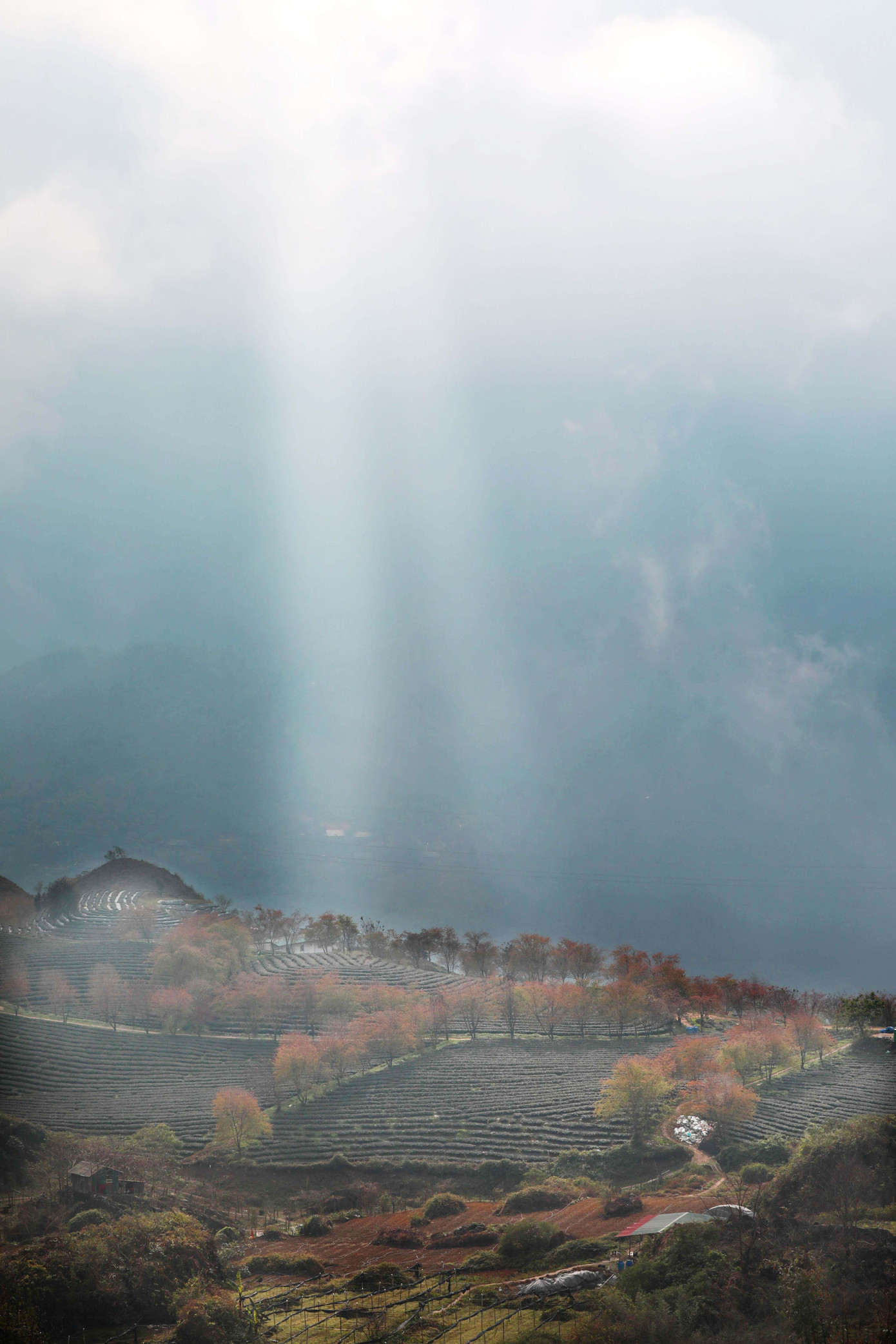 Thời gian để thực hiện chuyến hành trình khám phá vùng đất tươi đẹp này là vào khoảng tháng 12 đến tháng 1 dương lịch.