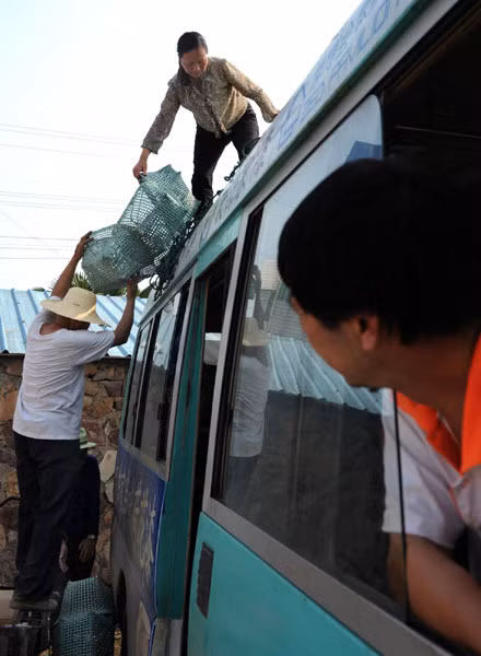 Tháo dỡ hàng cho khách. Tháo dỡ hàng cho khách