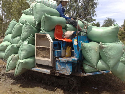 Xe chở lúa bánh xích, chế tác từ máy gặt đập liên hợp Trung Quốc. Ảnh: Hoàng Kim