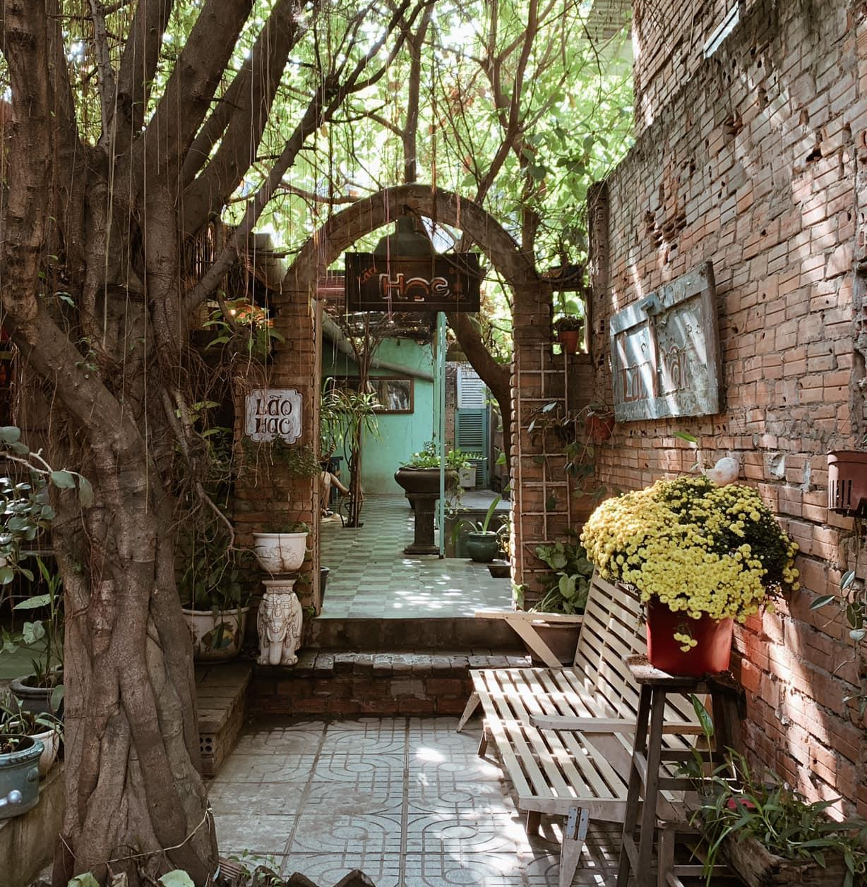 (Ảnh: Lão Hạc Quán)