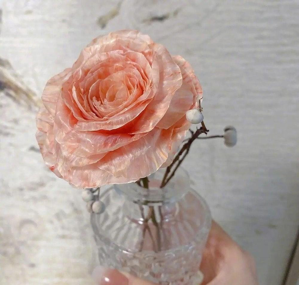 Thành quả khiến không ít người phải trầm trồ! Thành quả khiến không ít người phải trầm trồ!