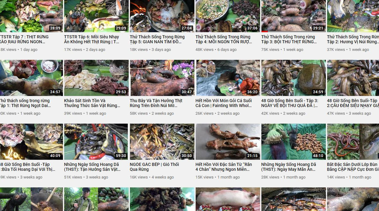 Một kênh "sinh tồn, khám phá" tràn ngập các video về săn bắt động vật hoang dã, chặt phá cây rừng. Những hình ảnh này là vi phạm pháp luật, thật đáng lên án.