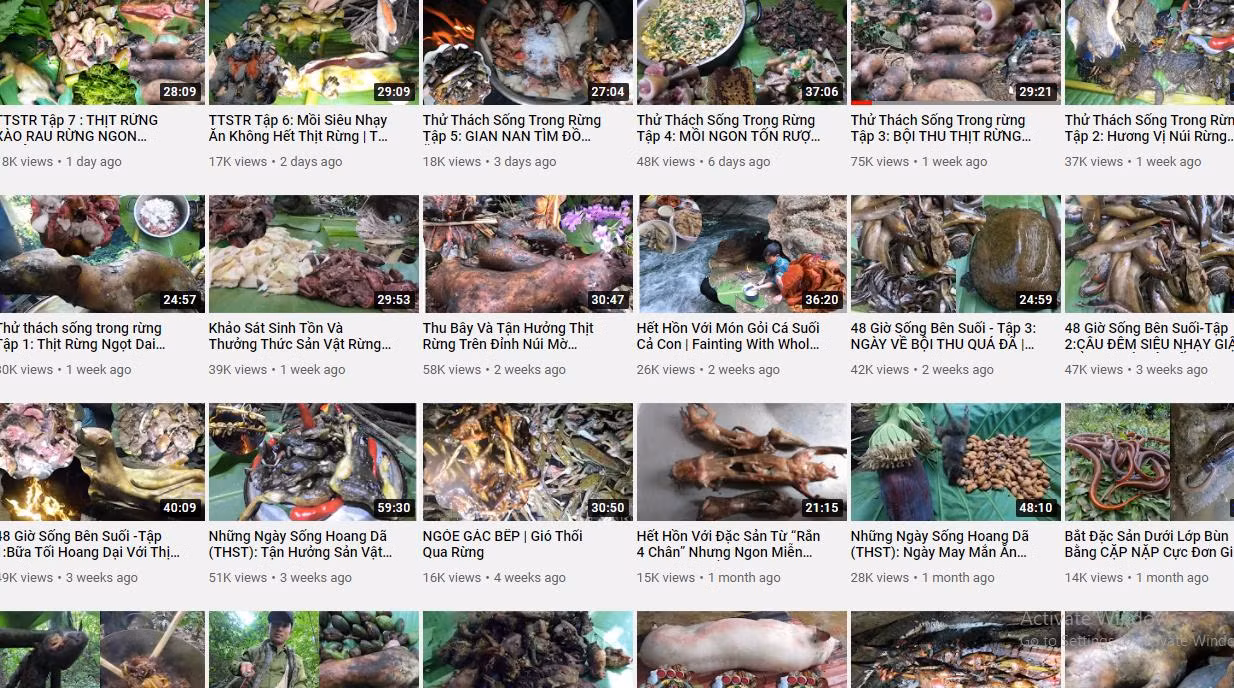 Một kênh "sinh tồn, khám phá" tràn ngập các video về săn bắt động vật hoang dã, chặt phá cây rừng. Những hình ảnh này là vi phạm pháp luật, thật đáng lên án.