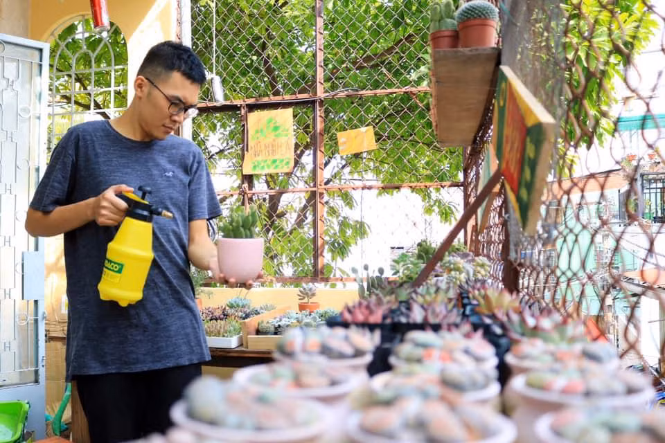 Hoàng Qúy Bình chăm sóc các chậu sen đá tại "Nhà nhiều lá".