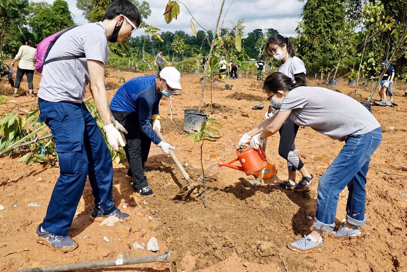 Một hoạt động môi trường được tổ chức bởi YSEALI.